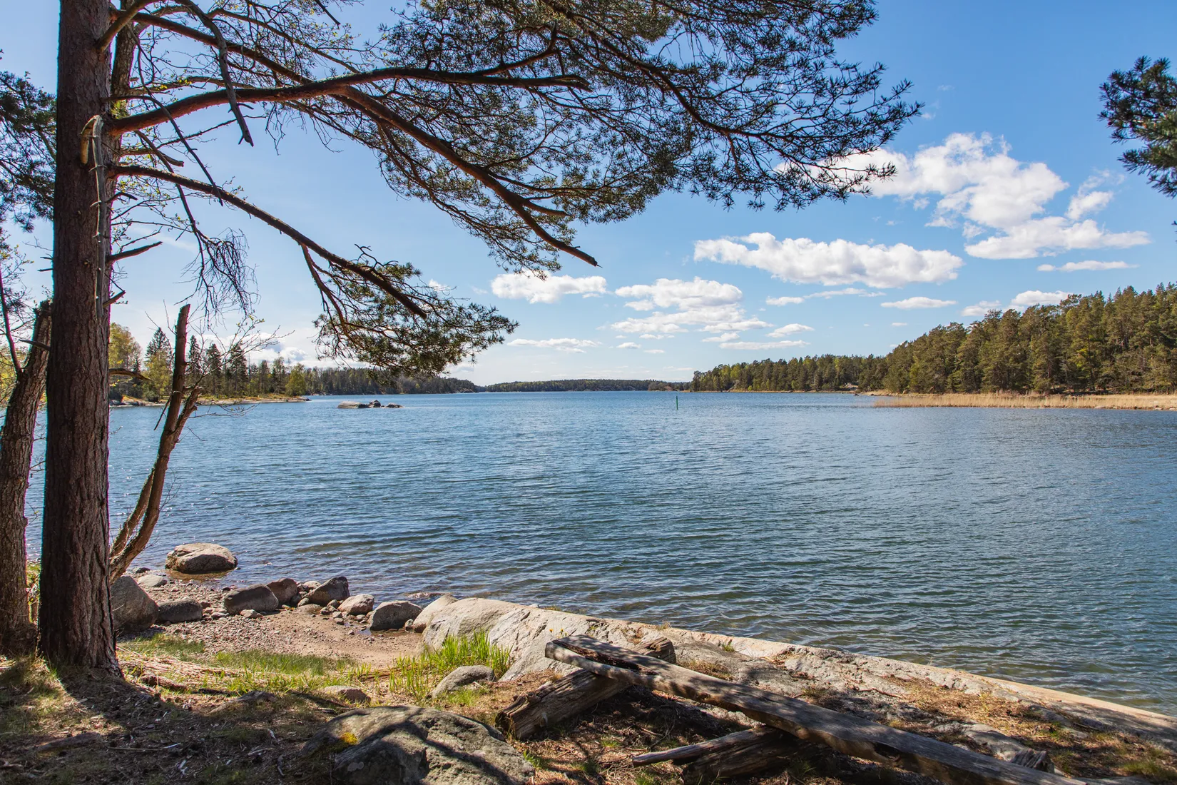 Gård/Skog, Svartnö byväg 8, Svartnö, Norrtälje