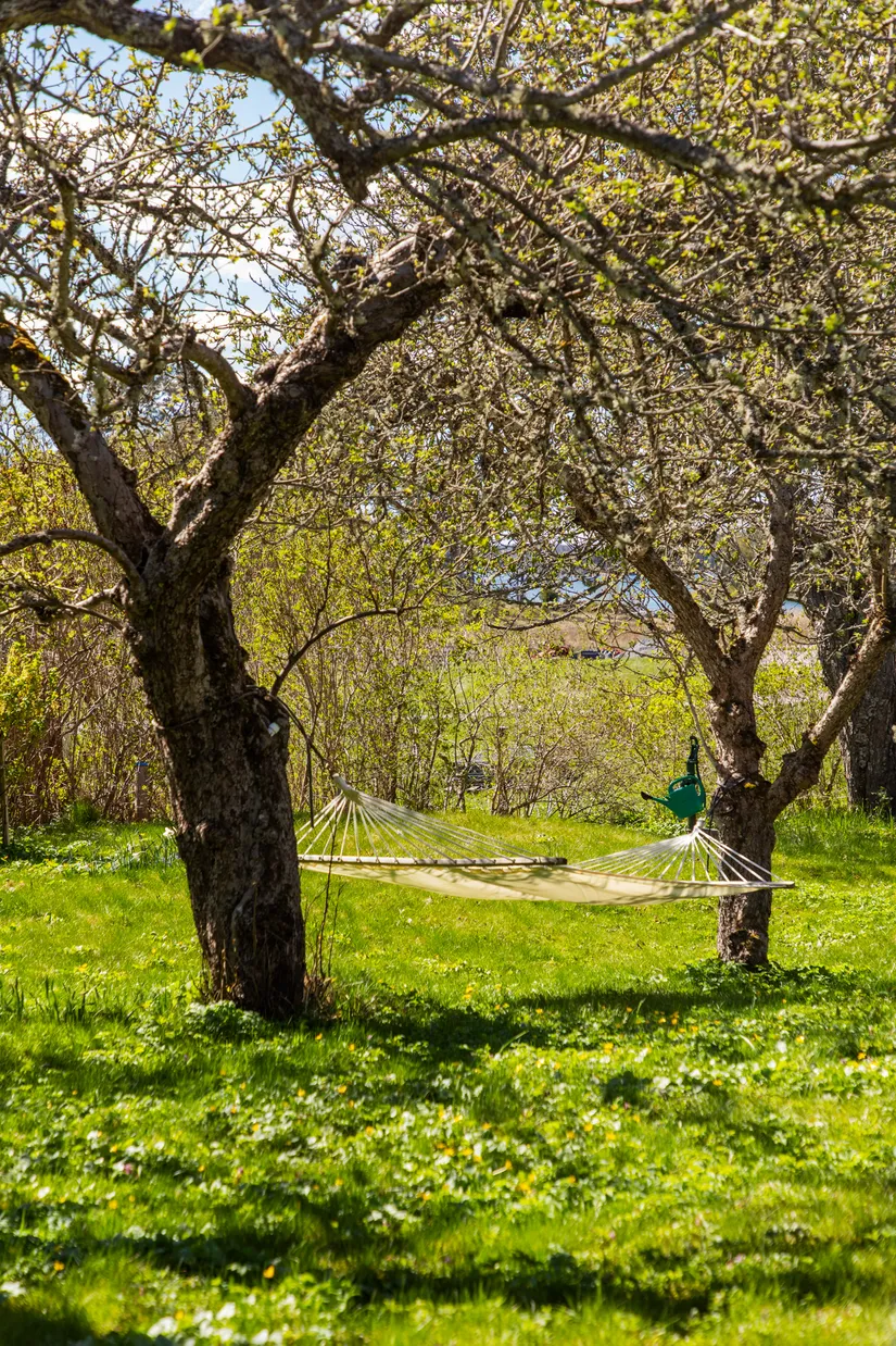 Gård/Skog, Svartnö byväg 8, Svartnö, Norrtälje