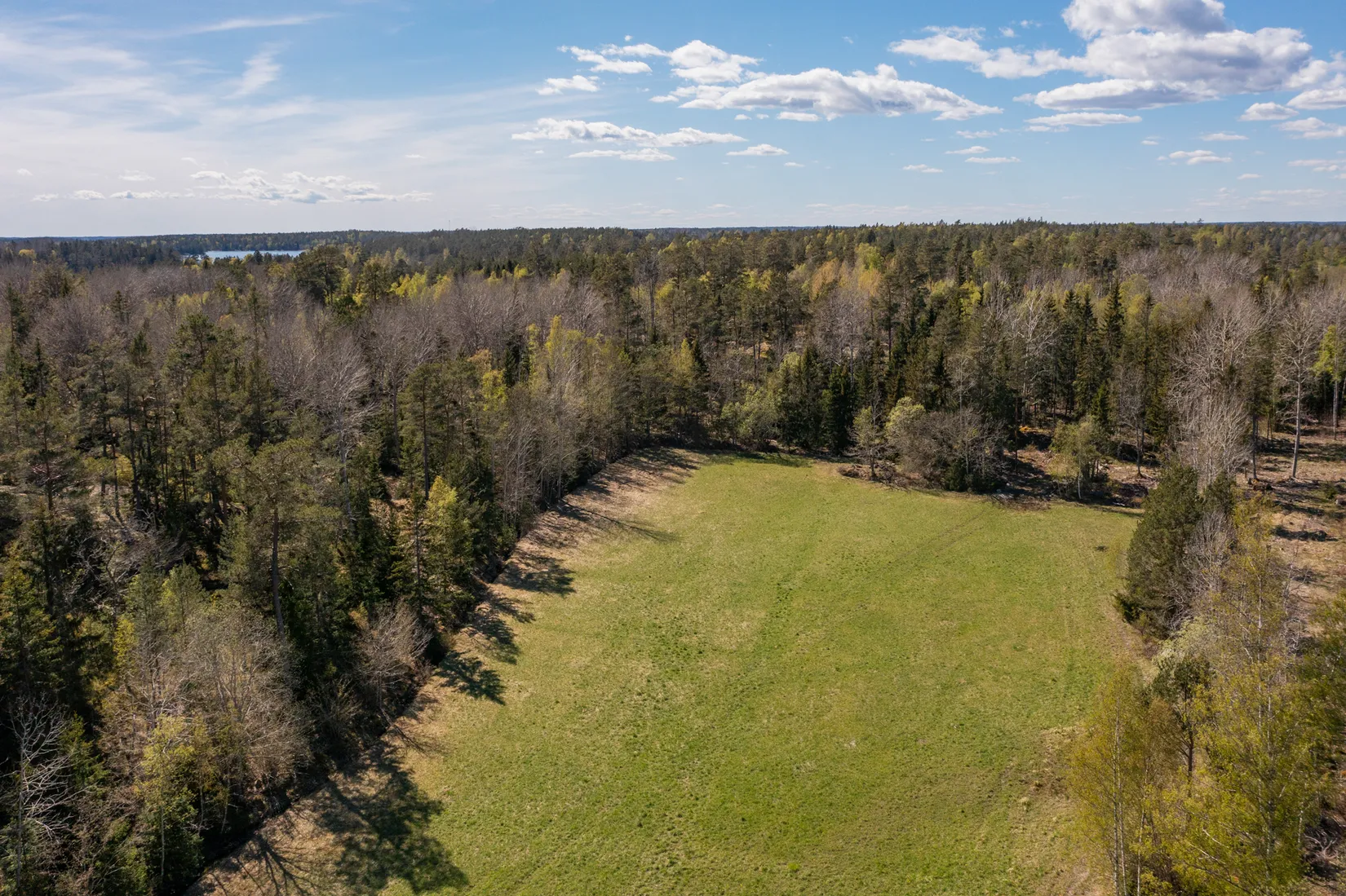 Gård/Skog, Svartnö byväg 8, Svartnö, Norrtälje