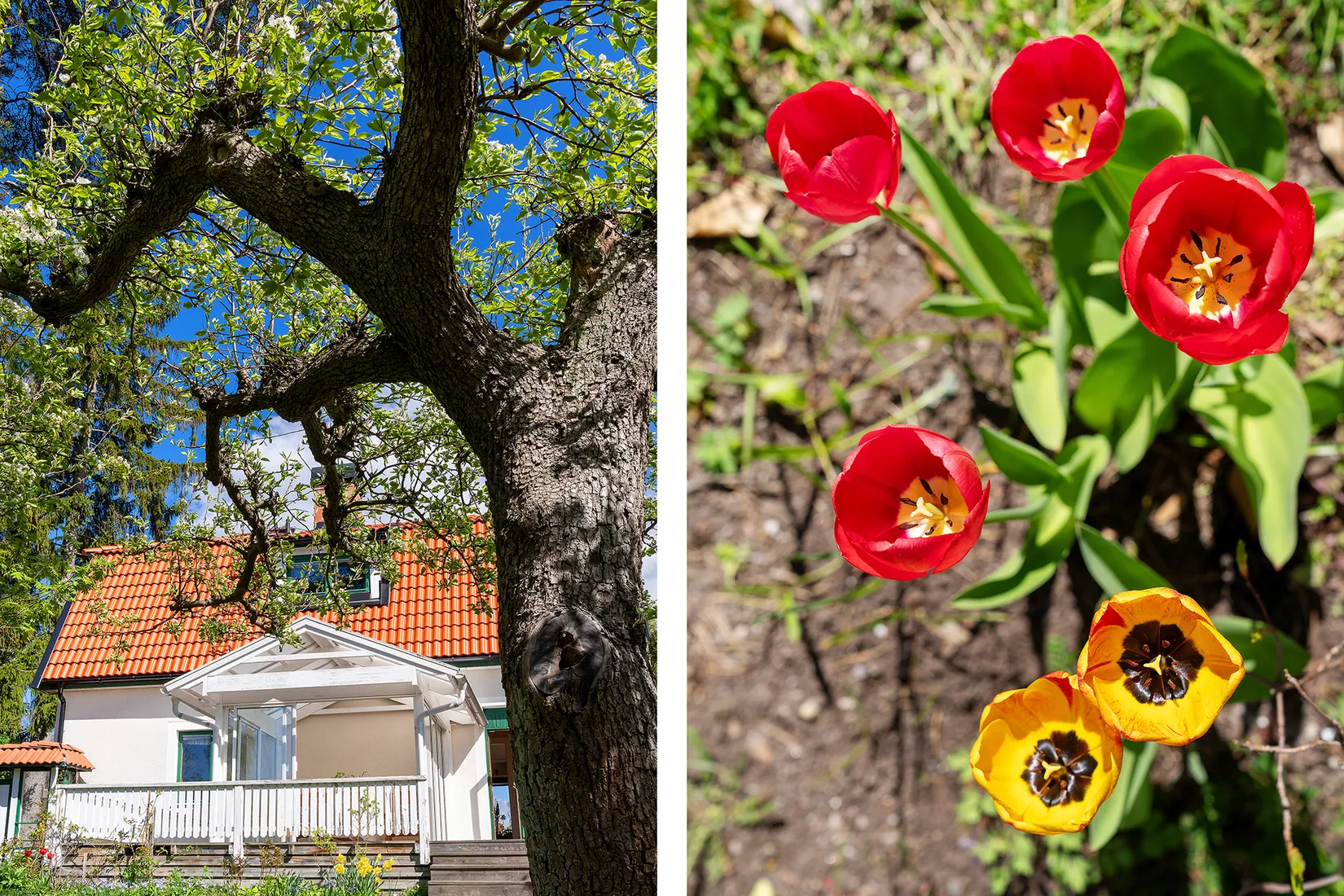 Villa, Björkvägen 28, Gamla Enskede, Stockholm