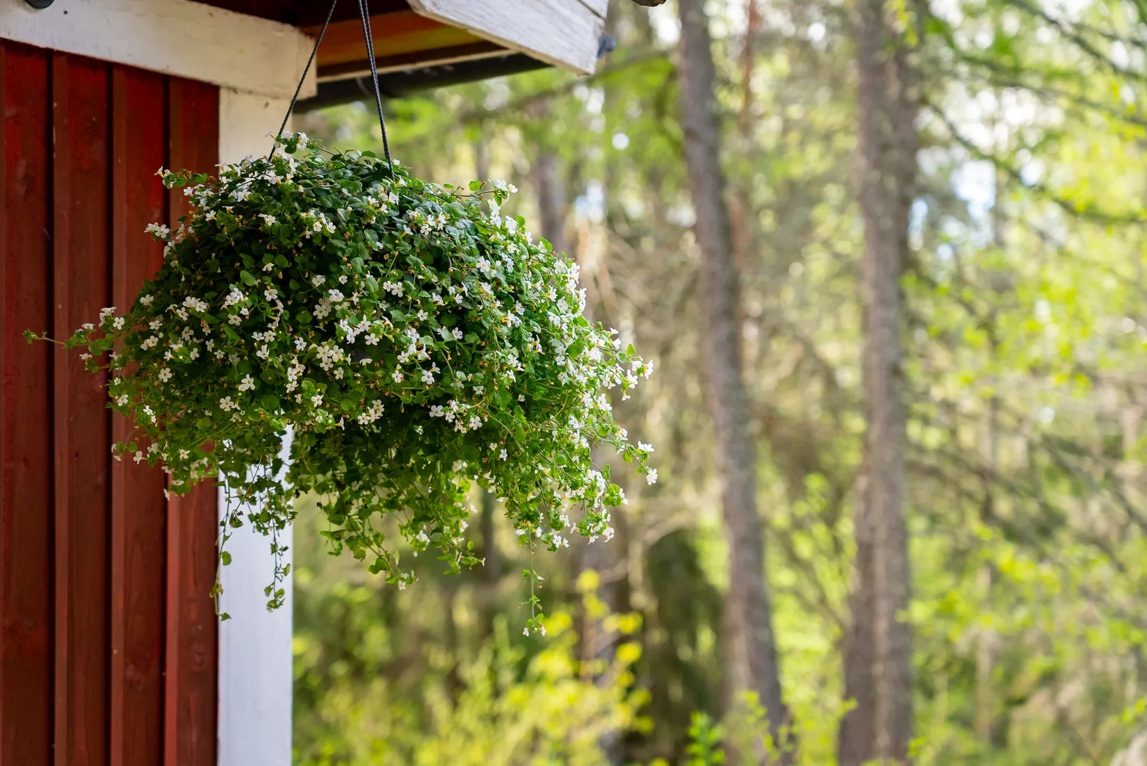 Fritidshus, Arrenderätten Eskilstuna Byggnad å Vibyåsen, Vibyåsen 24, Vibyåsen, Eskilstuna