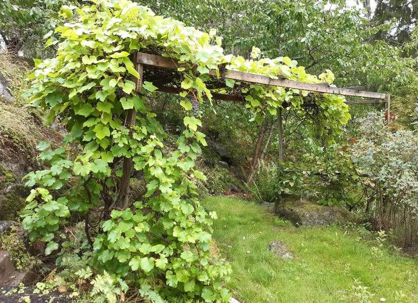 Fritidshus, Mejselvägen 7, Munsö, Ekerö