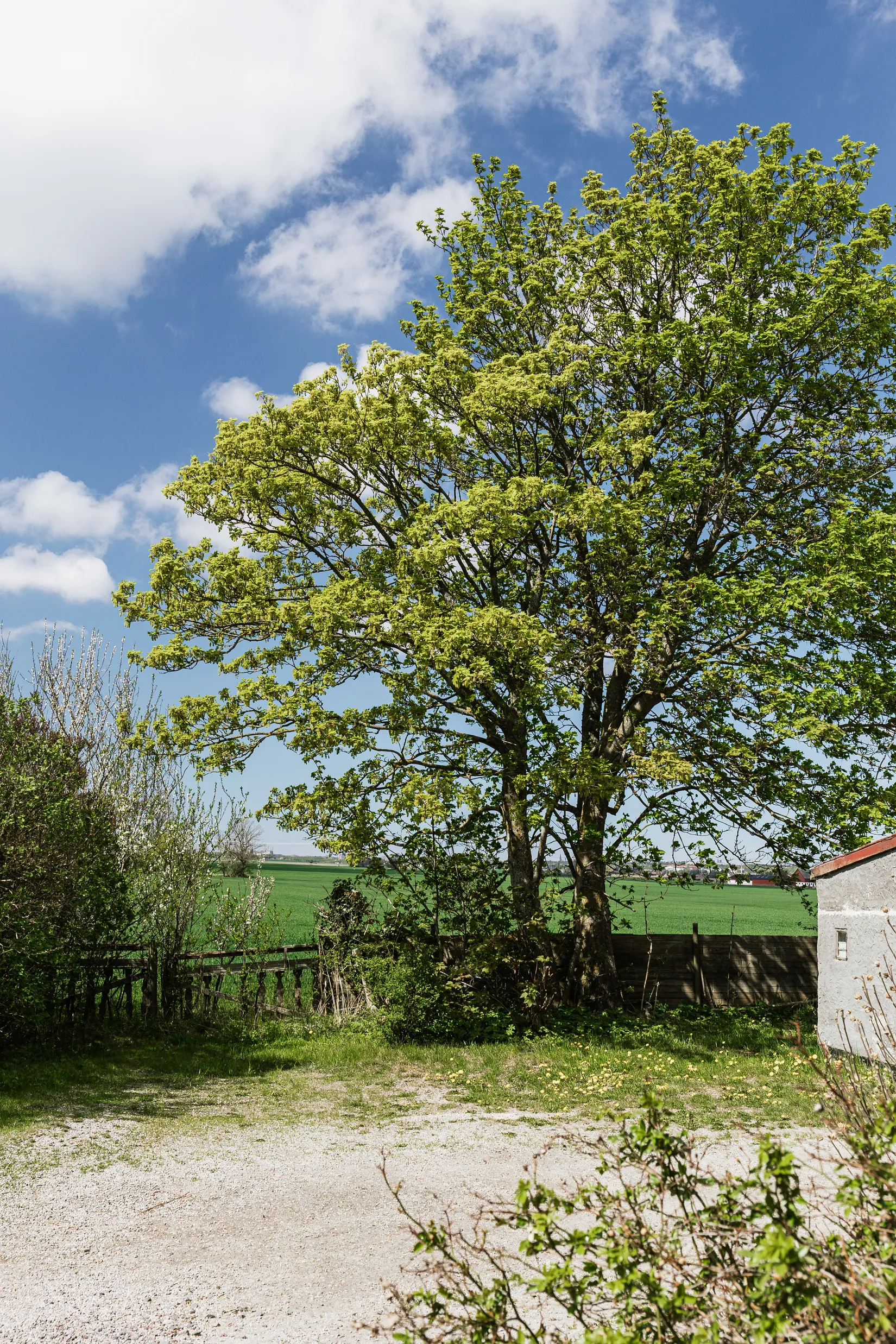 Villa, Bjällerups säteriväg 97, Stora Bjällerup / Landsbygd Staffanstorp, Staffanstorp