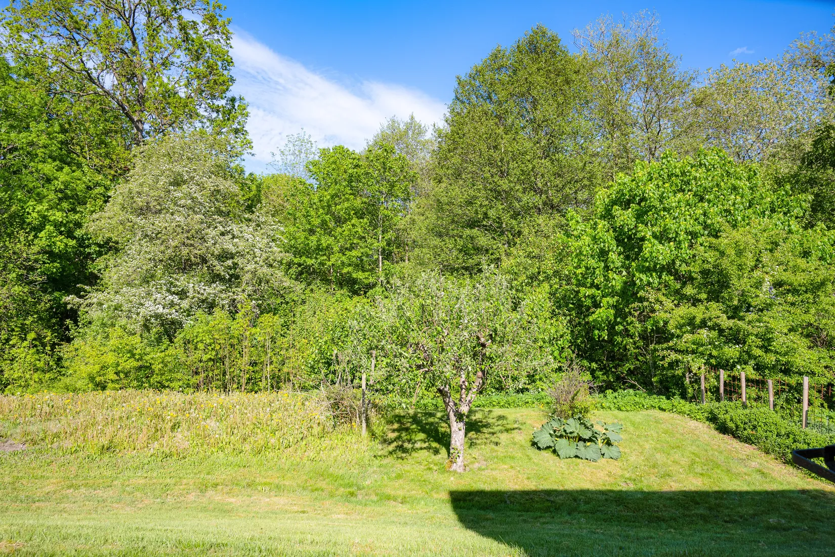 Villa, Hagagatan 17, Röstånga, Svalöv