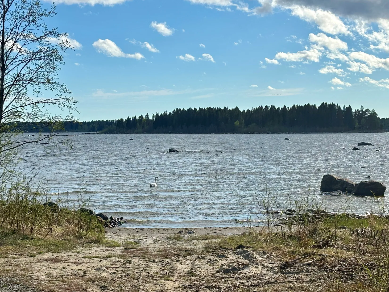 Fritidshus, Vitnäsudden 145, Vitnäsudden, Robertsfors