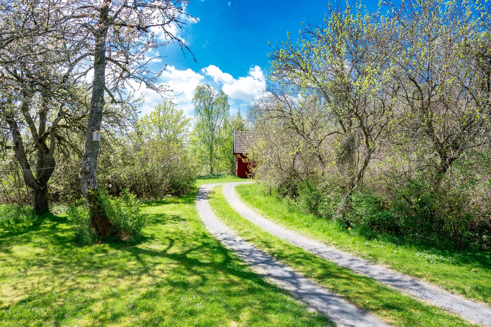 Gård/Skog, Väla Fiskartorp 1, Väla, Lidköping