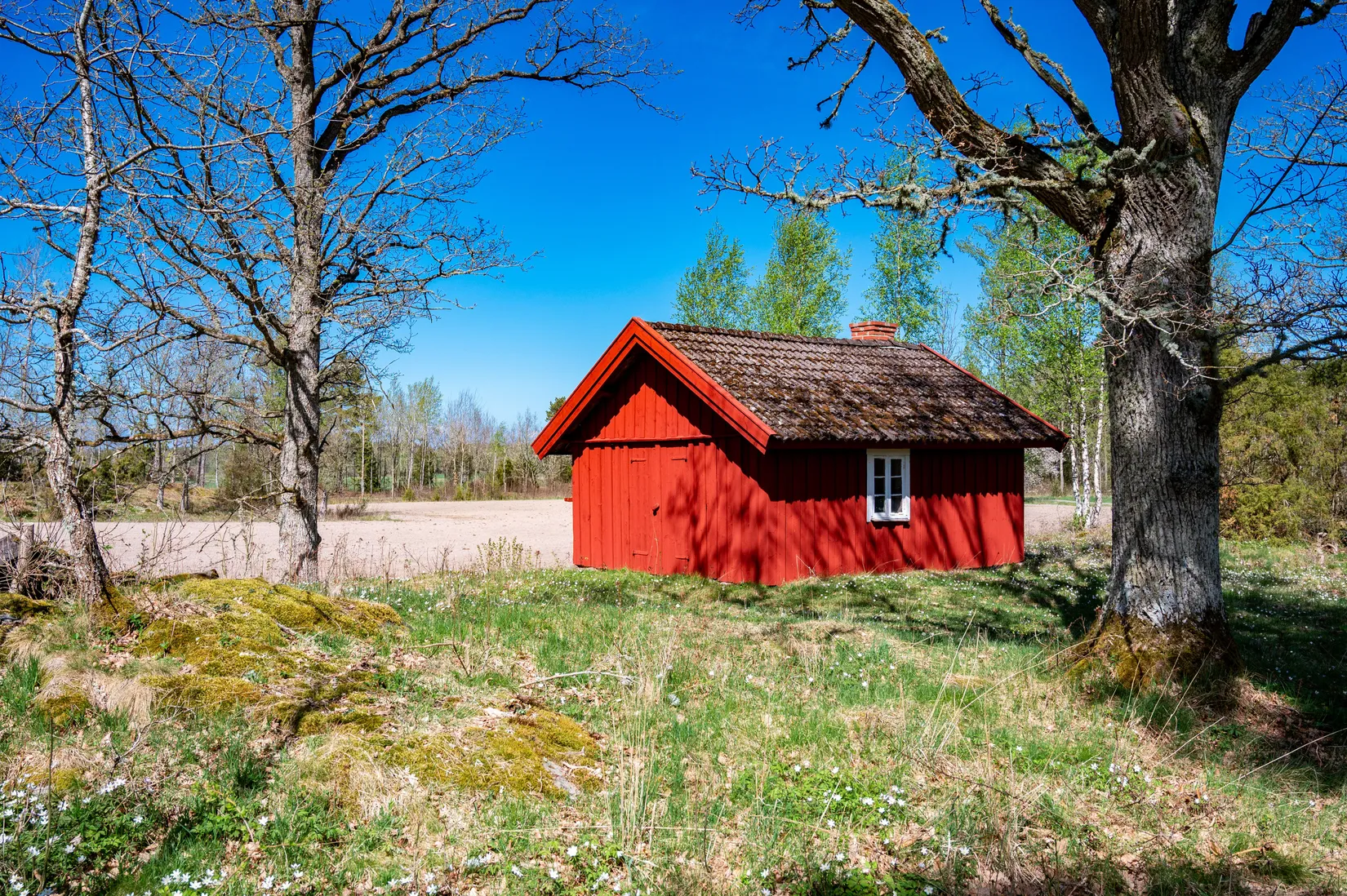 Gård/Skog, Väla Fiskartorp 1, Väla, Lidköping