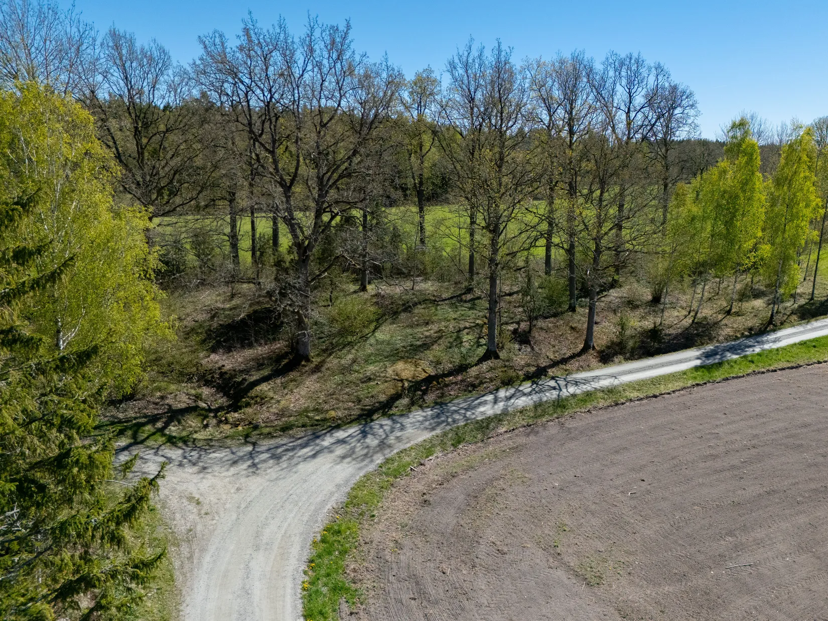 Gård/Skog, Väla Fiskartorp 1, Väla, Lidköping