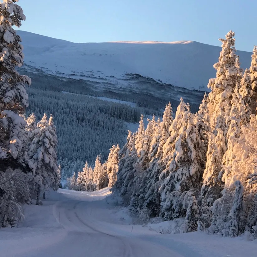 Villa, Mårdsundsbodarna Ripvägen 9, Mårdsundsbodarna, Åre