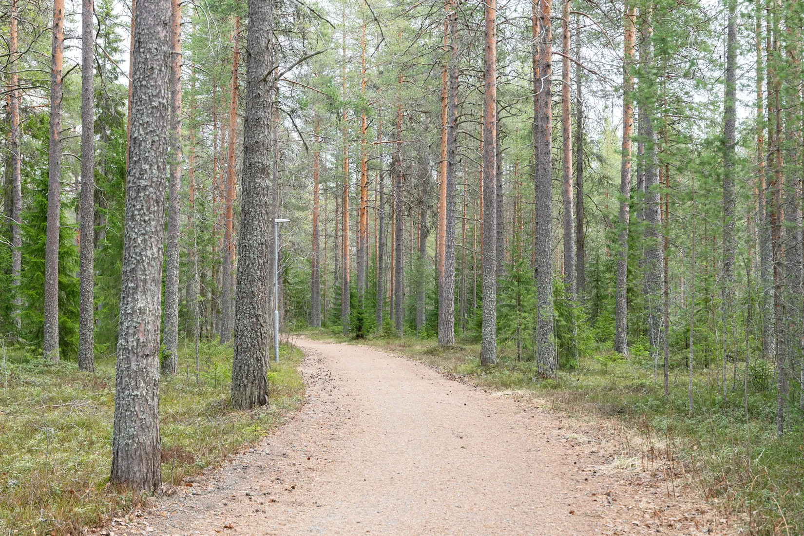 Villa, Älvbrovägen 34, Gäddvik, Luleå