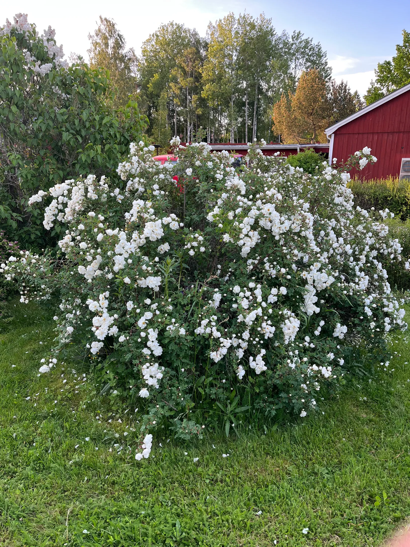 Villa, Källvägen 12, Danholn, Falun