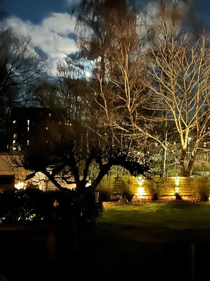 Villa, Neptunigatan 37, Söder, Halmstad