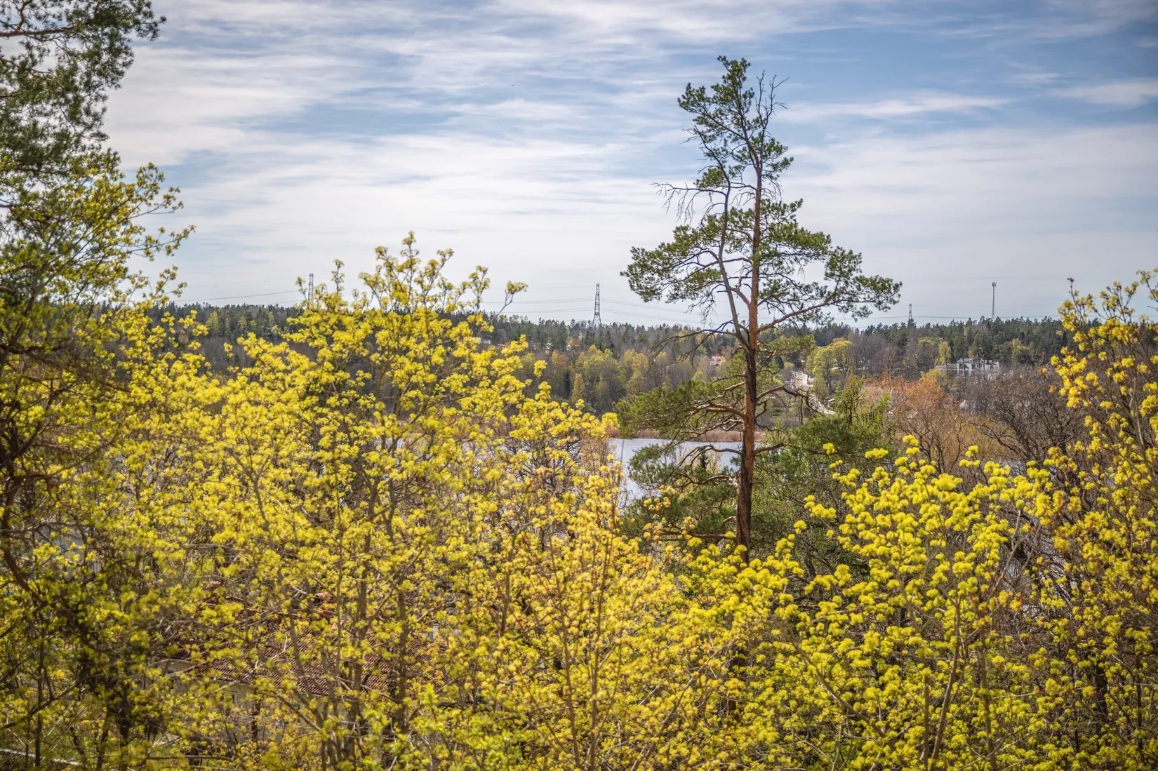 Bostadsrätt, Gräsandsvägen 27, Fagersjö, Stockholm
