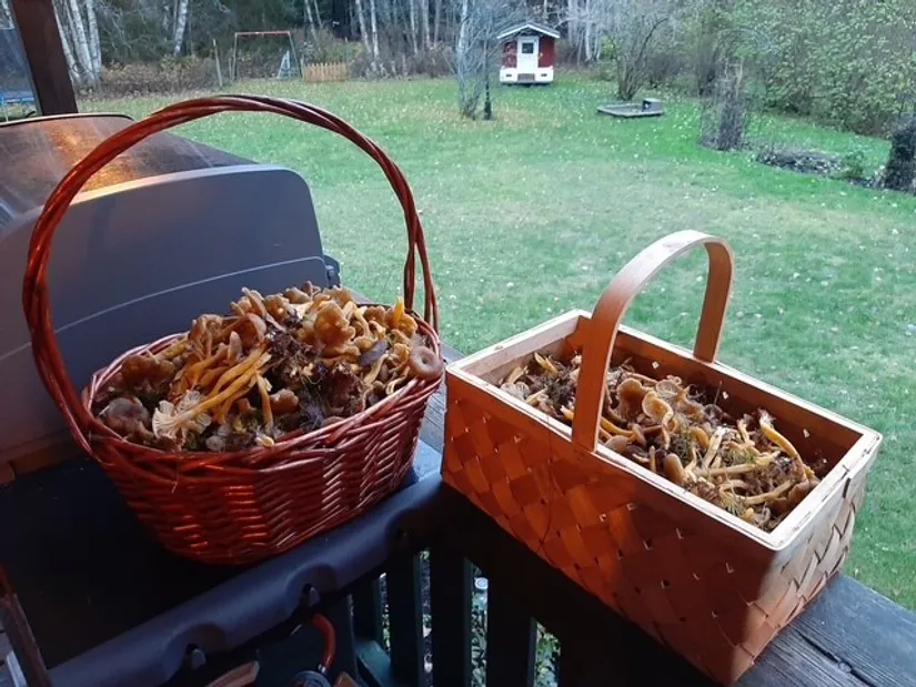 Fritidshus, Stockkärrsvägen 82, Smara, Norrtälje