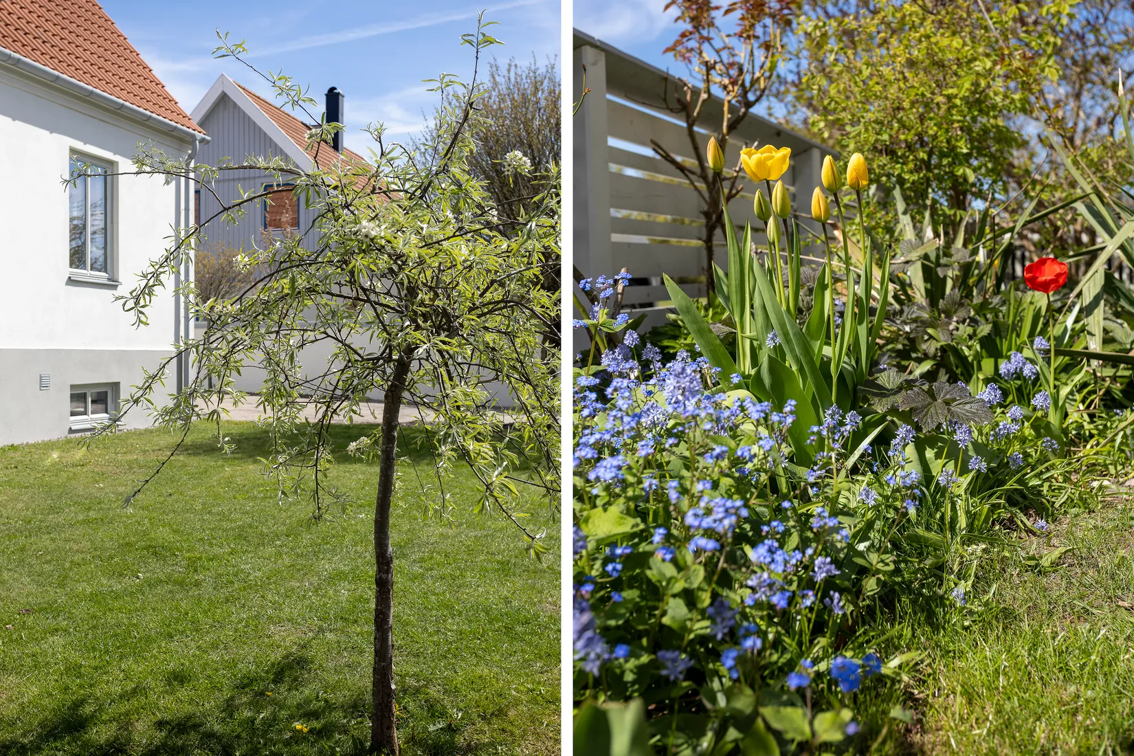 Villa, Sövdeborgsplan 44, Rosenvång, Malmö