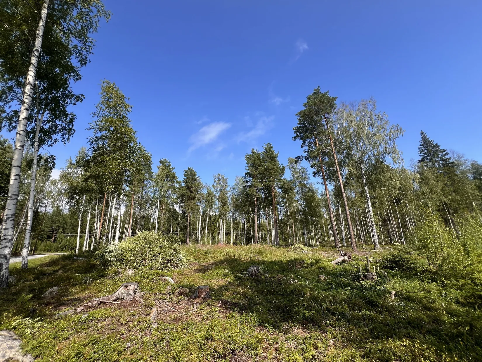 Tomt, Enestigen 1, Stormnäsudden, Hudiksvall