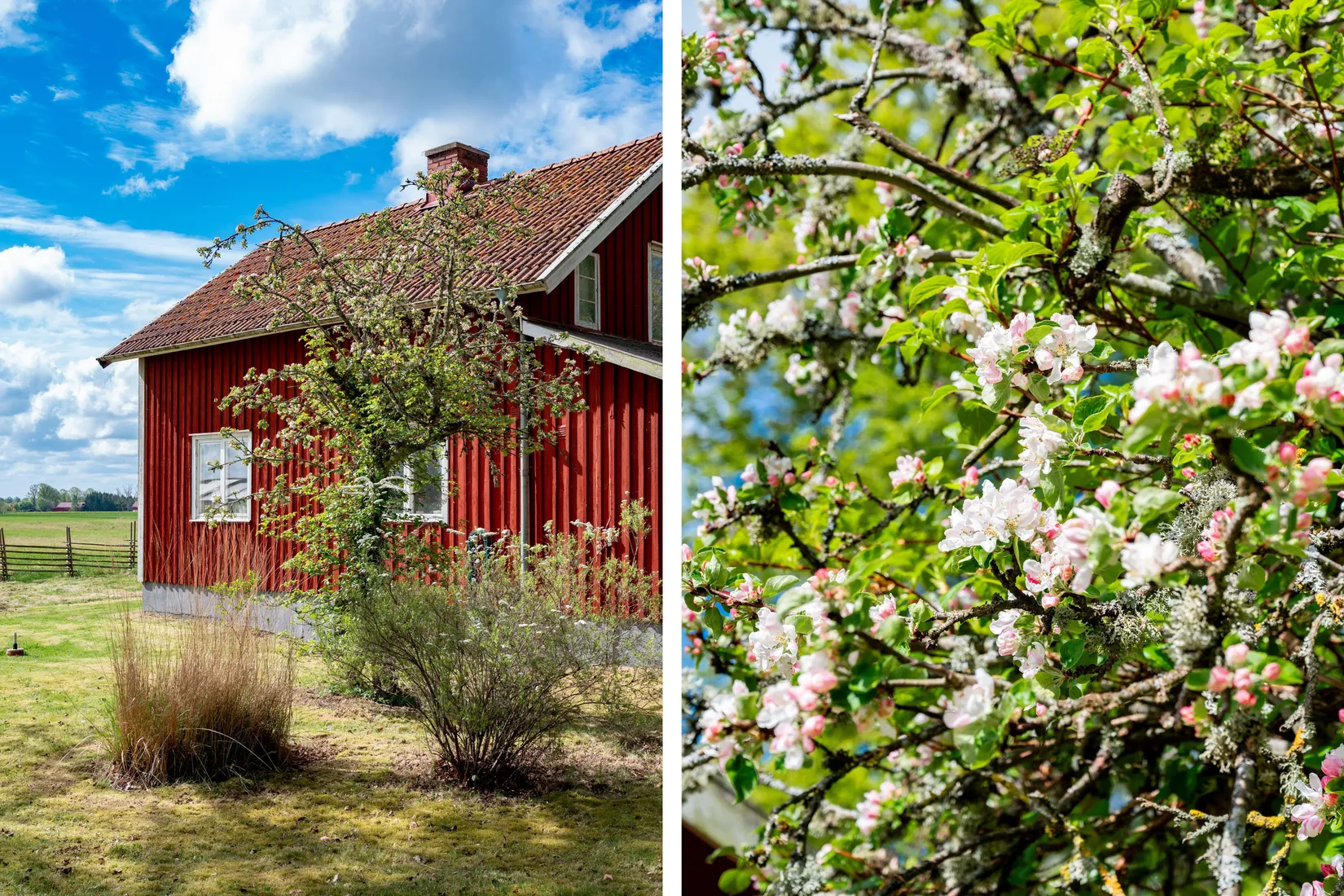 Villa, Ryda Stora Attorp 11, Ryda, Vara