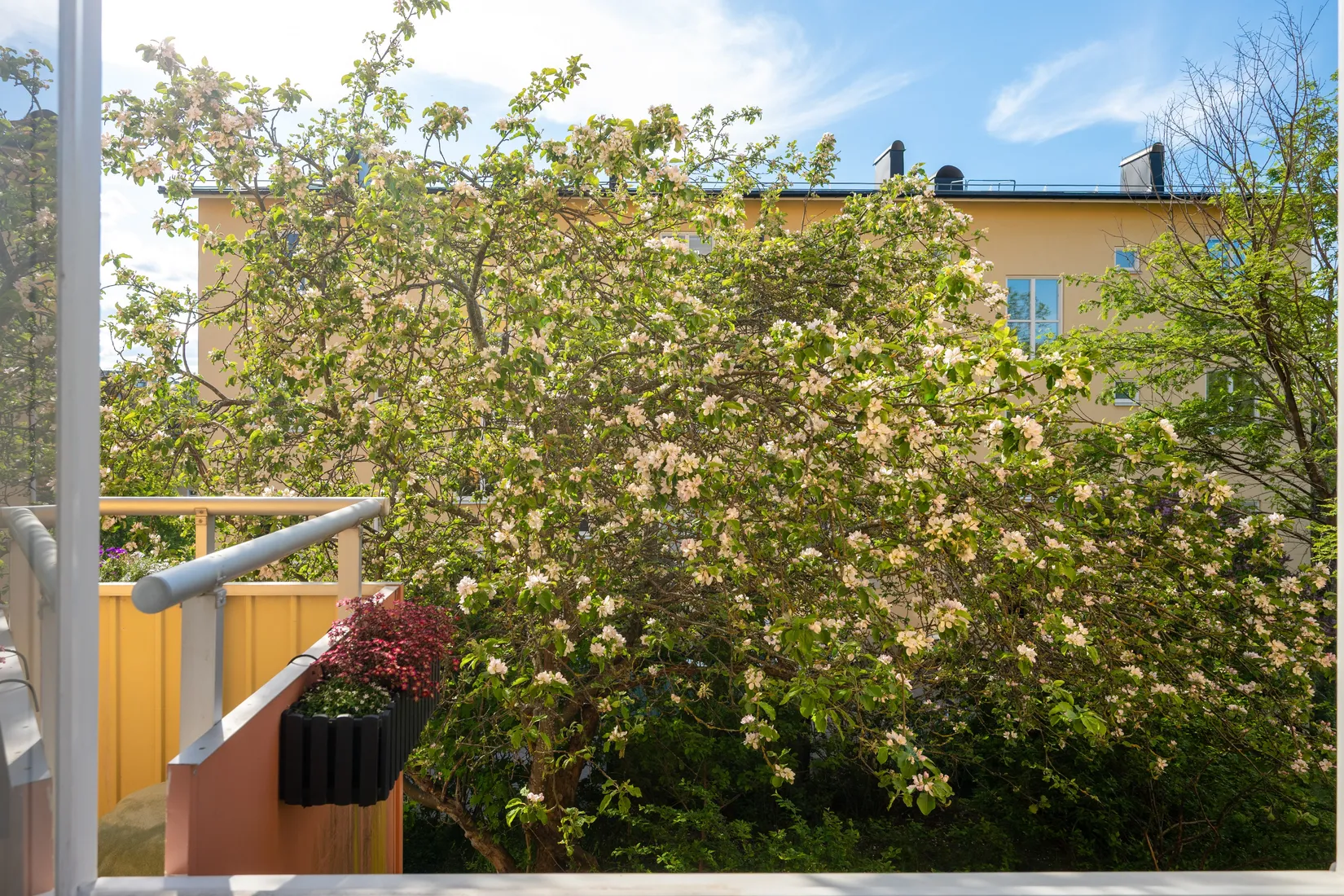 Bostadsrätt, Nathorstvägen 15, Skärmarbrink, Stockholm