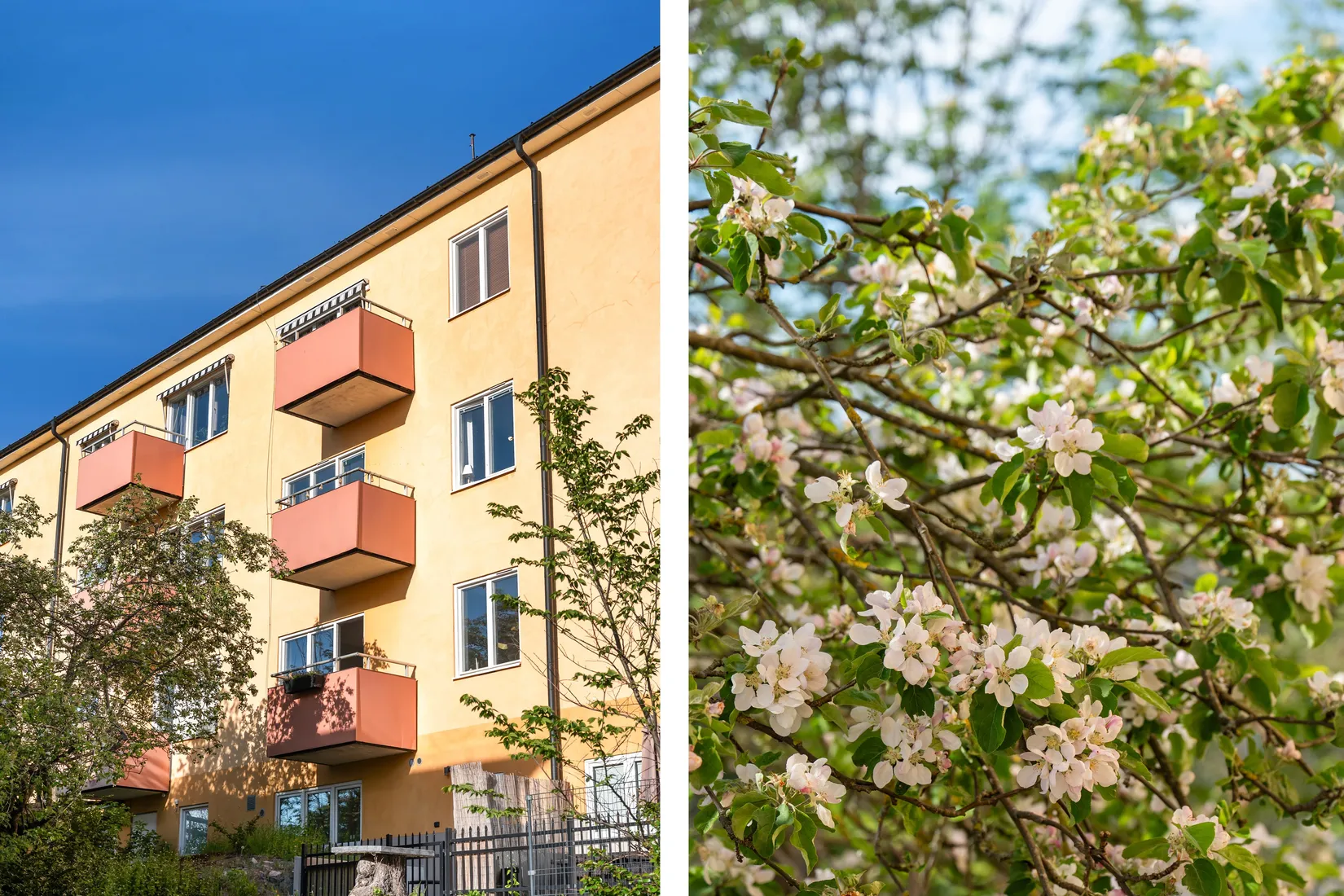 Bostadsrätt, Nathorstvägen 15, Skärmarbrink, Stockholm