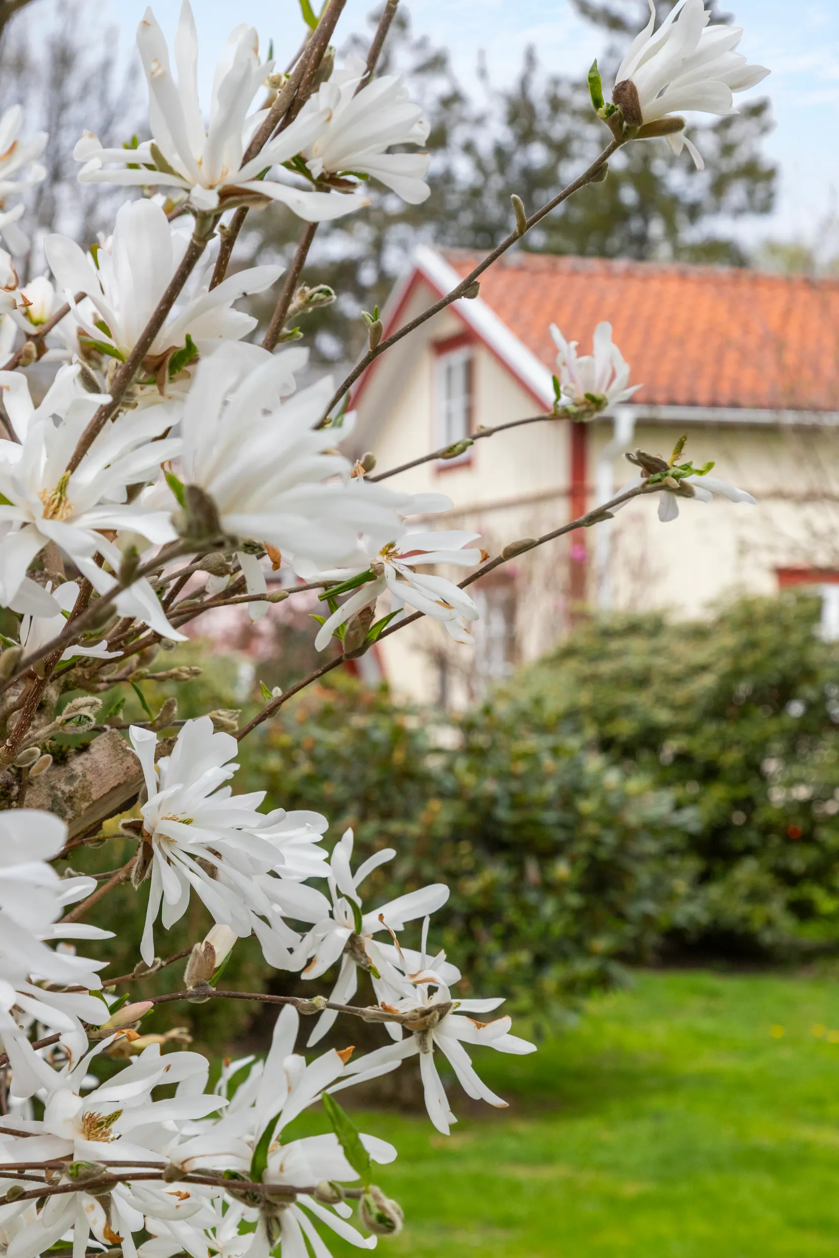 Villa, Nygatan 44, Veddige, Varberg