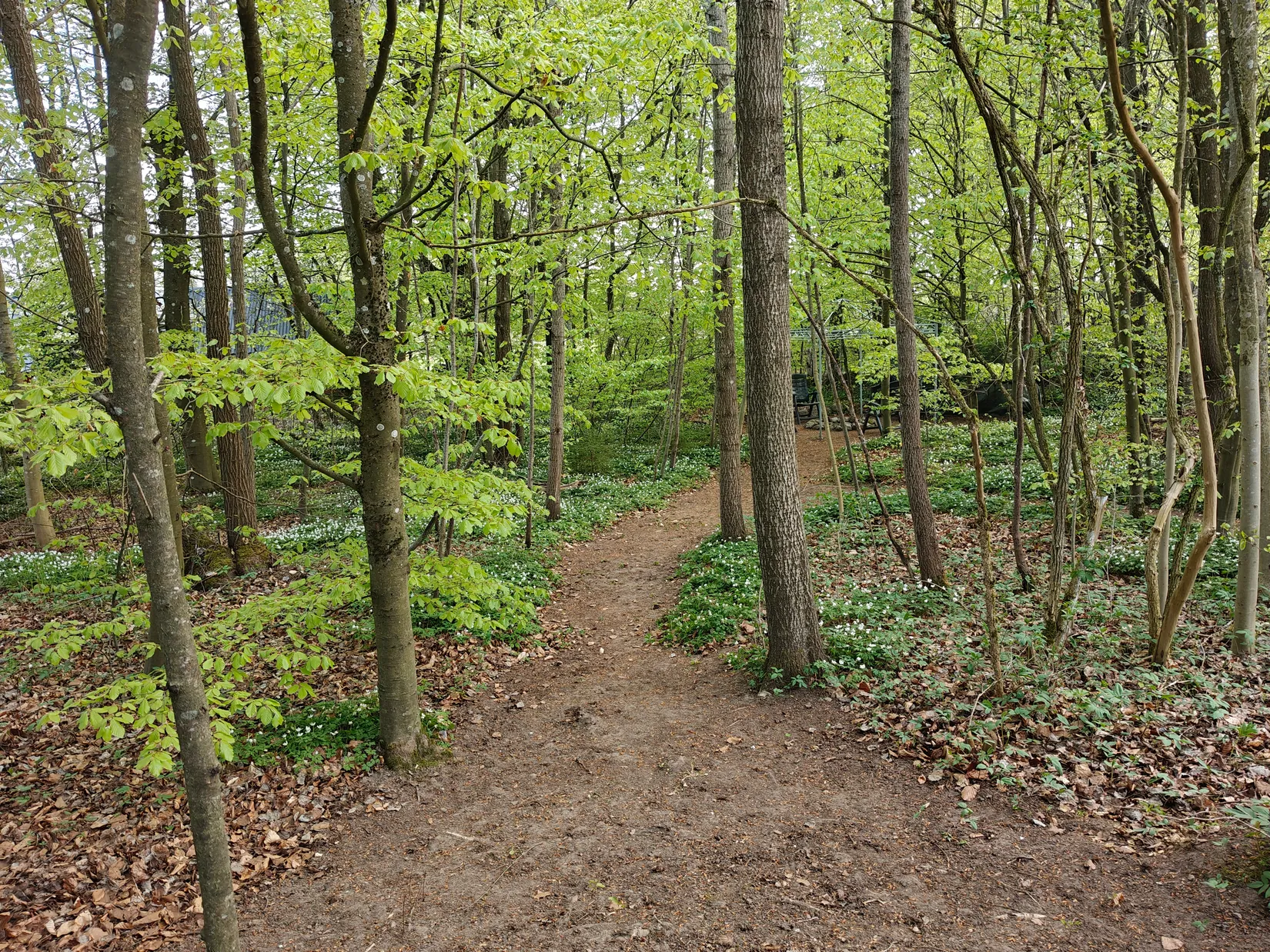 Fritidshus, Tollstorp 9336, Hörby