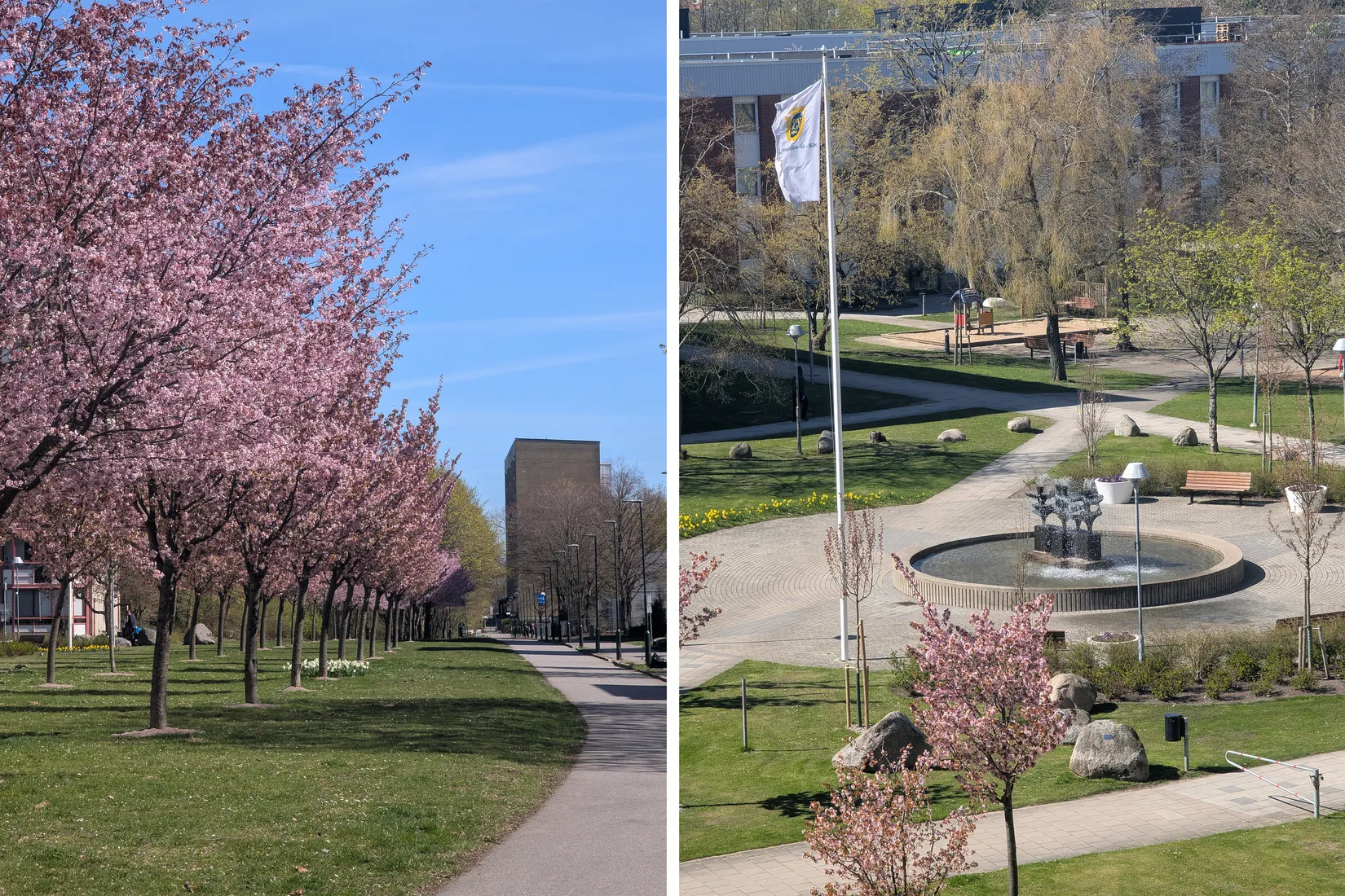 Bostadsrätt, Serenadgatan 64, Högaholm, Malmö