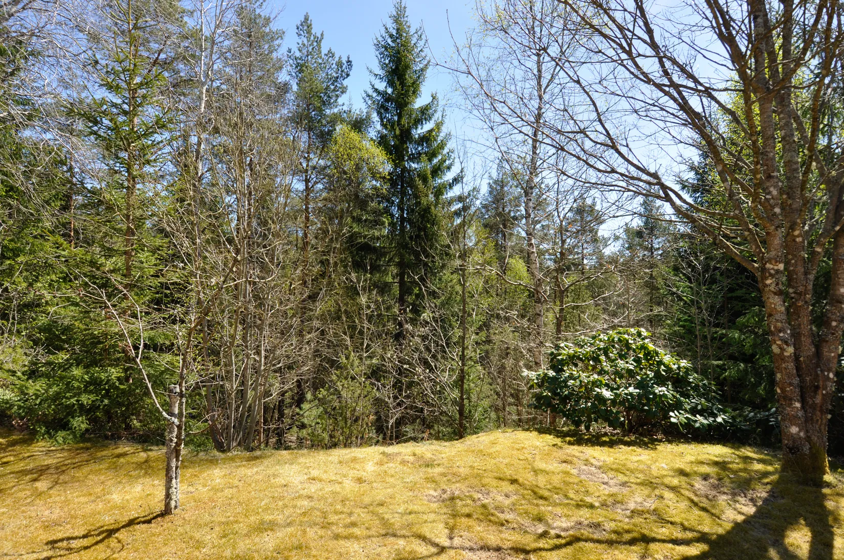 Villa, Trälshult 99, Laholm