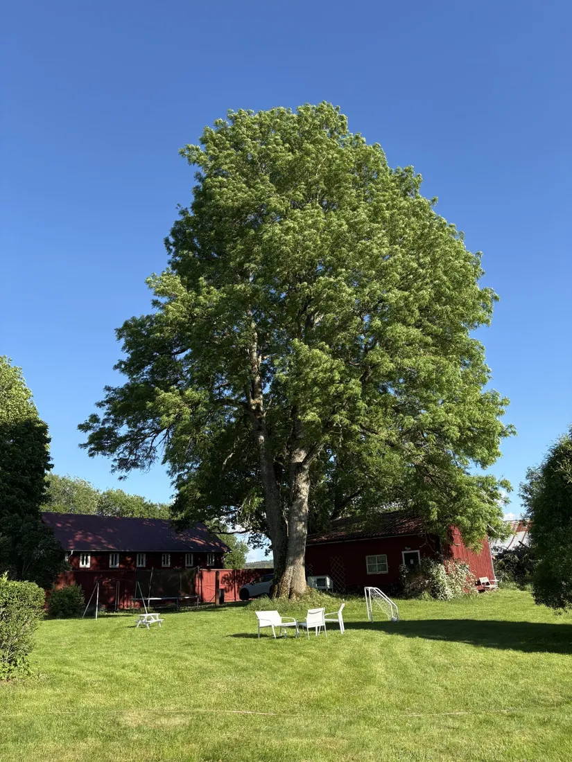 Villa, Vallby Östergården 131, Viby, Hallsberg
