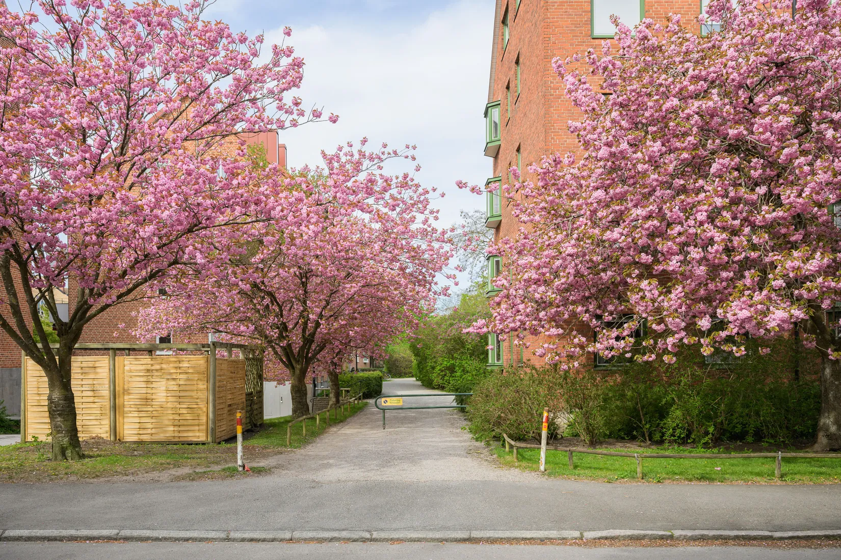 Bostadsrätt, Sofiavägen 5A, Sofiaparken, Lund