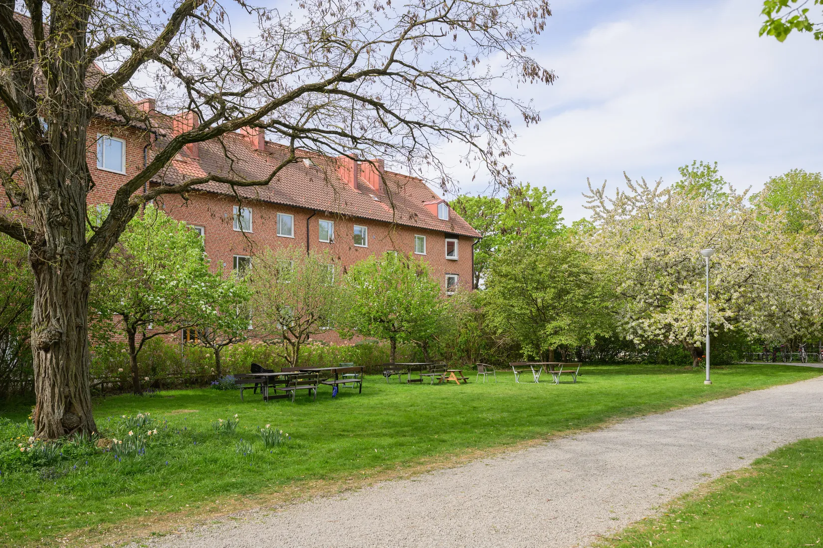 Bostadsrätt, Sofiavägen 5A, Sofiaparken, Lund