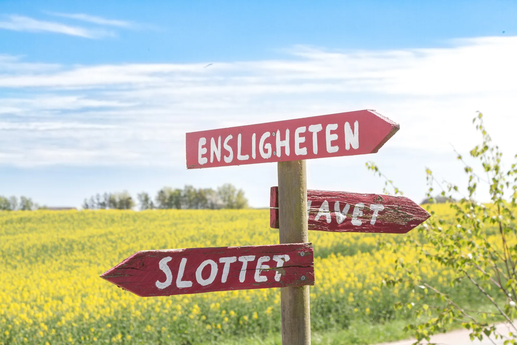 Tomt, Ensligheten, Snårestad, Ystad