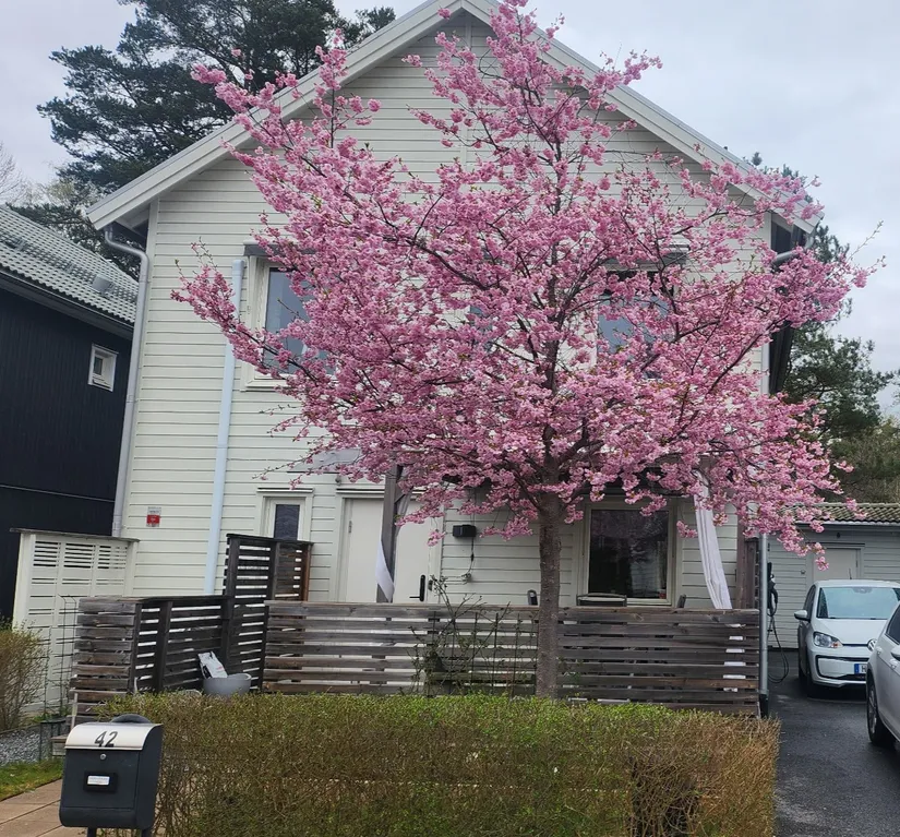 Villa, Norra Årvägen 42, Brunnby Park, Upplands Väsby