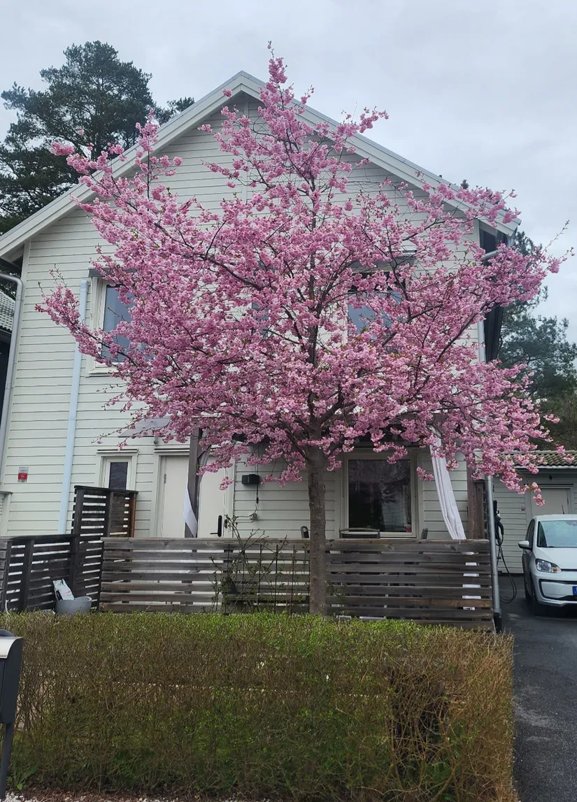 Villa, Norra Årvägen 42, Brunnby Park, Upplands Väsby