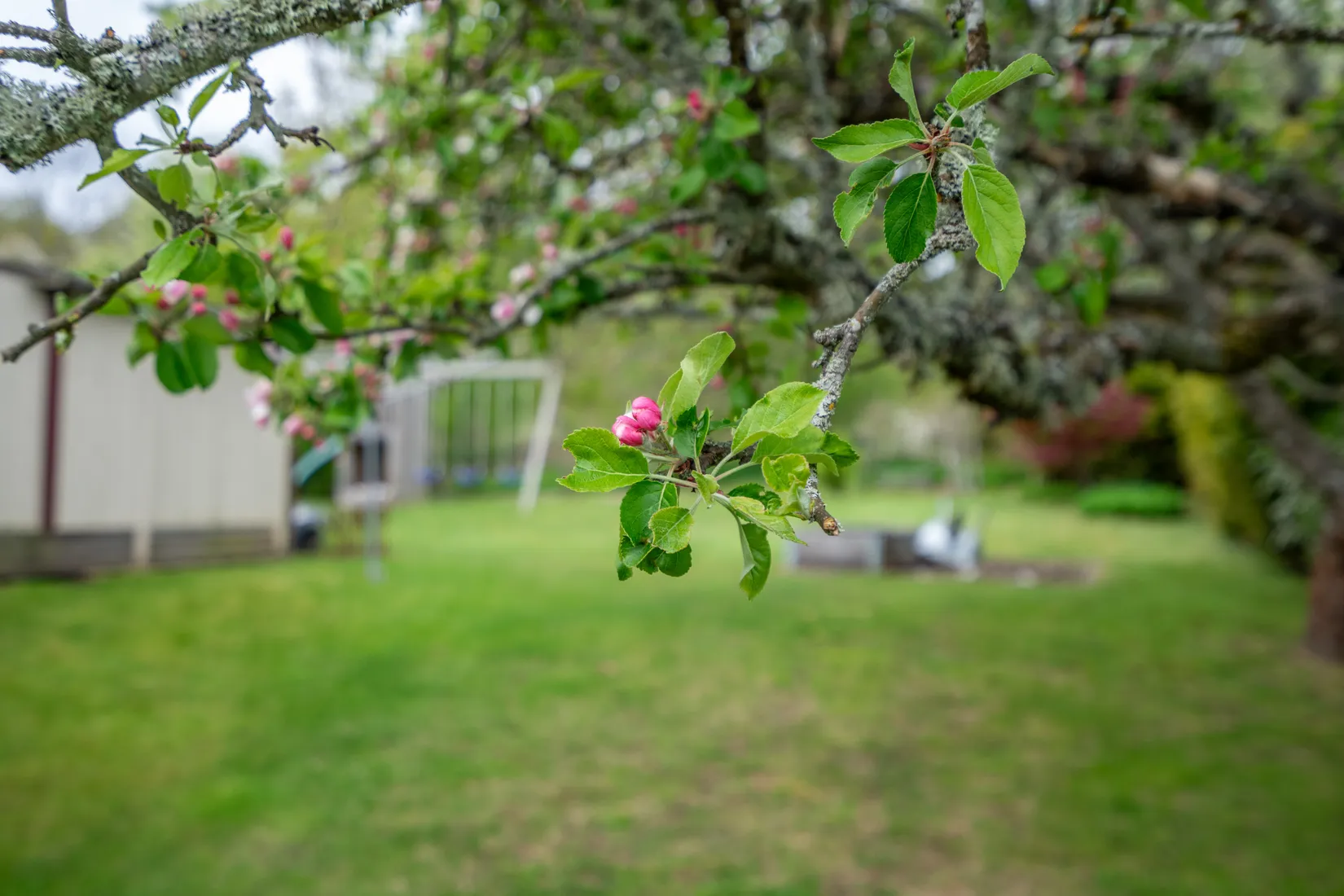 Villa, Diamantvägen 21, Ulveket, Skövde