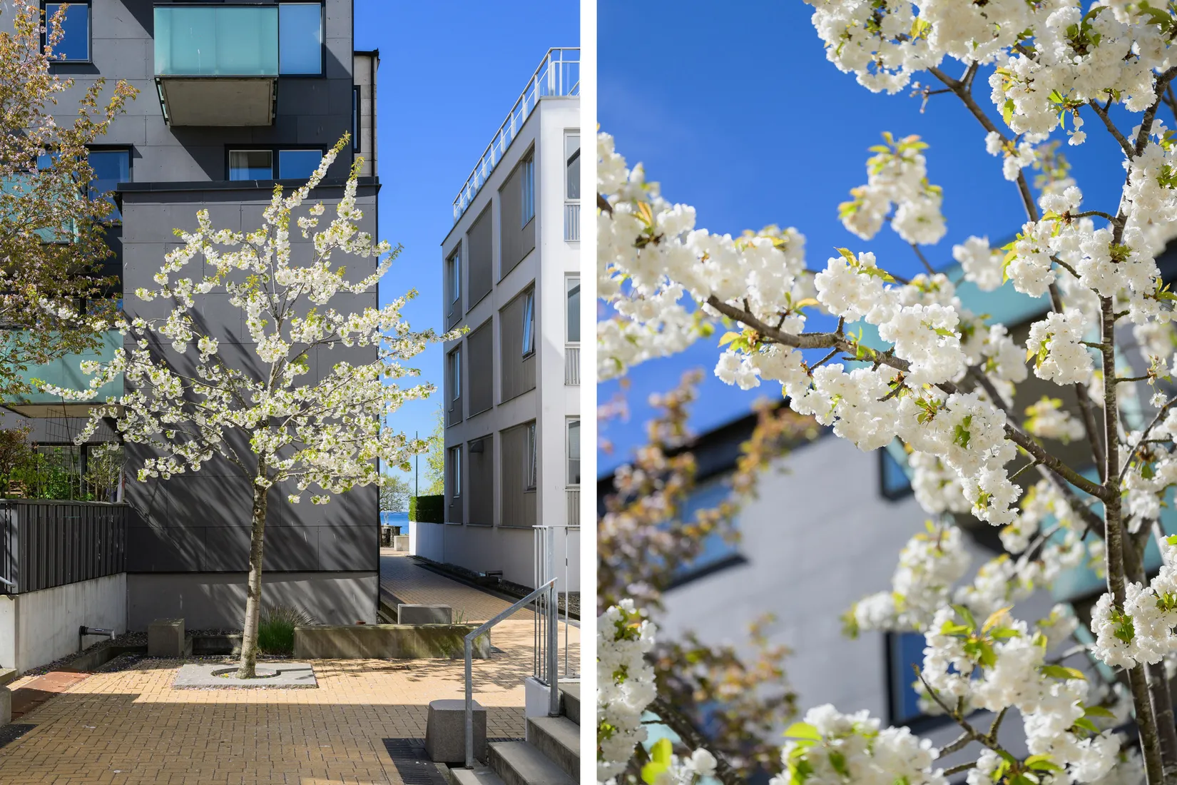 Villa, Radhus, Kompassgatan 12, Västra Hamnen, Malmö