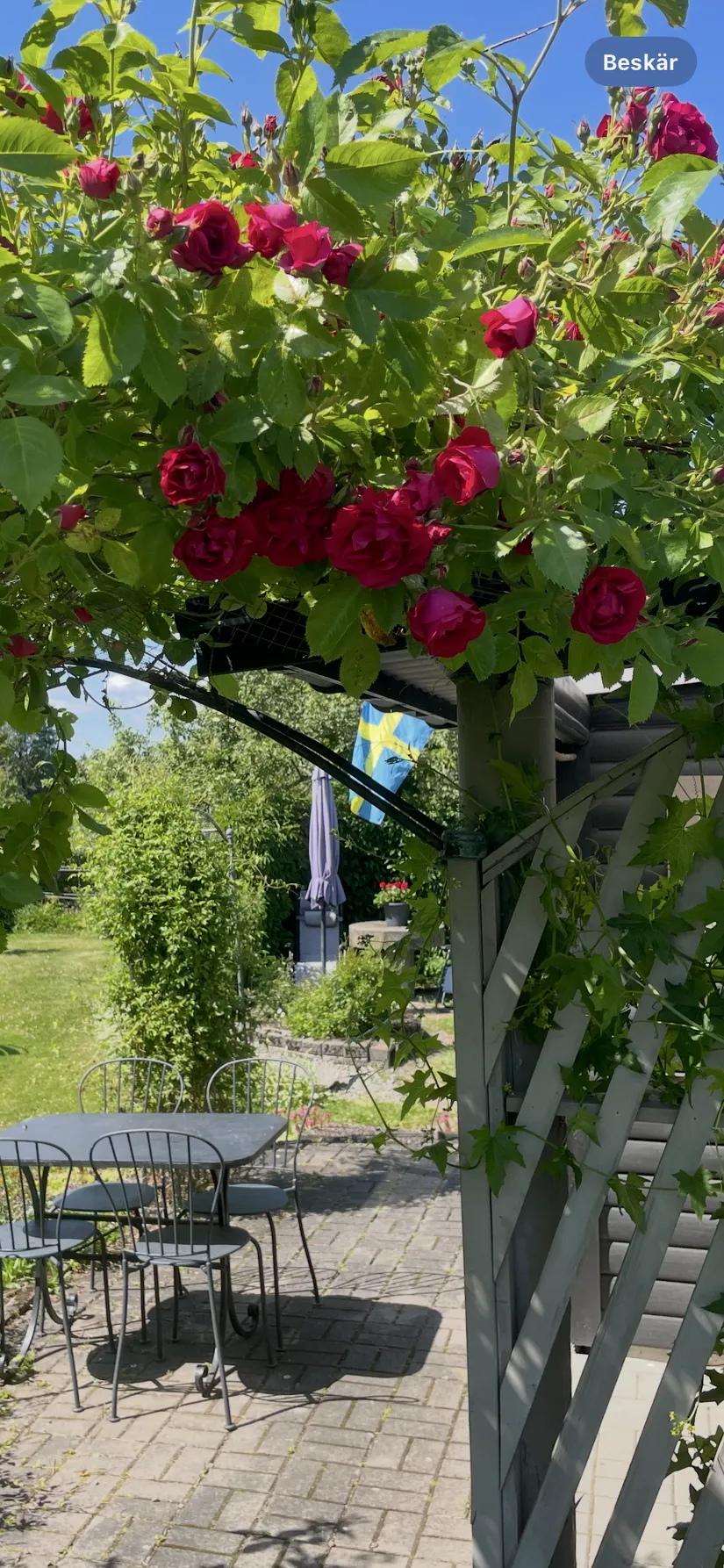 Fritidshus, Pionvägen 158, Tunabackar, Uppsala