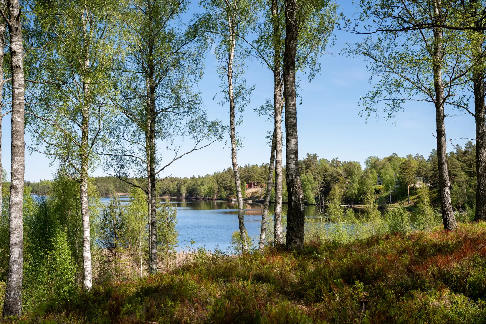 Villa, Björkvägen 11, Vittsjö, Hässleholm