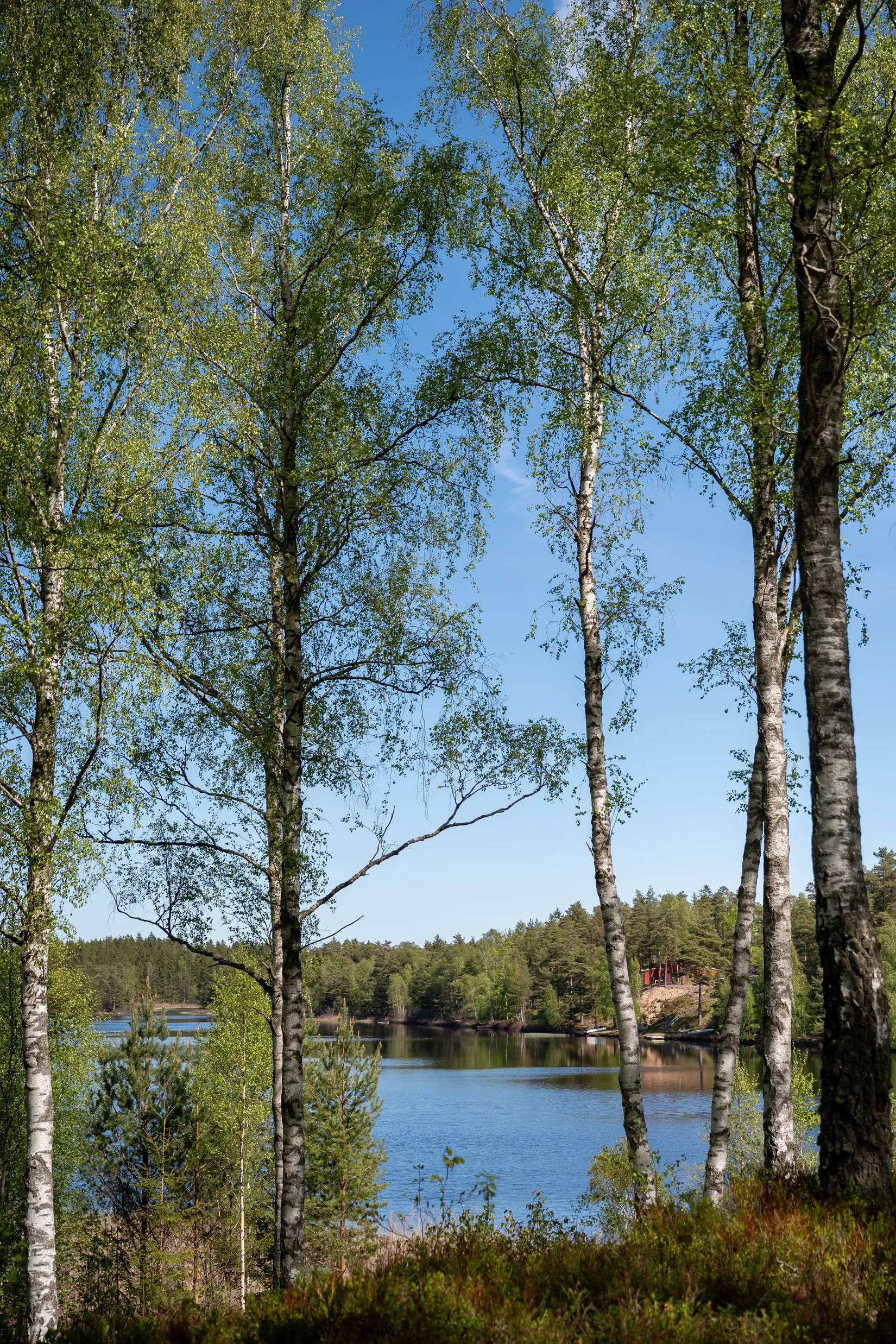 Villa, Björkvägen 11, Vittsjö, Hässleholm