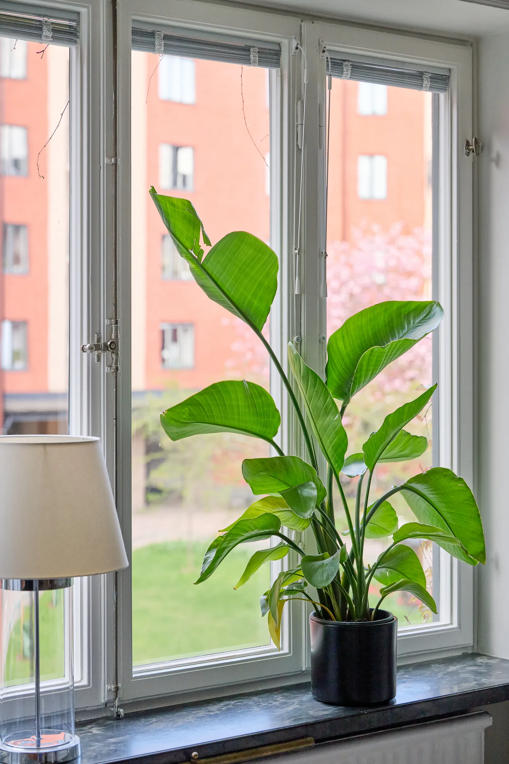 Bostadsrätt, Alströmergatan 32P, Kungsholmen - Fridhemsplan, Stockholm