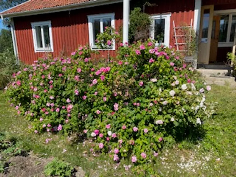 Fritidshus, Ubbytorpsvägen 88, Fasterna, Norrtälje
