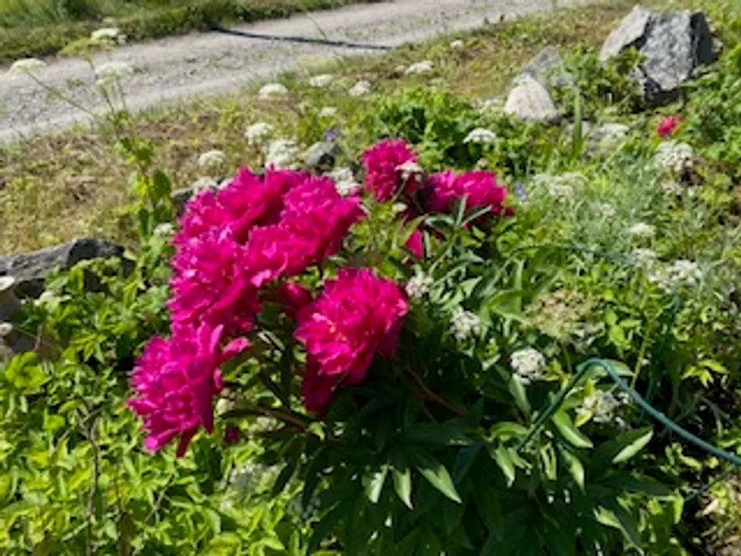Fritidshus, Ubbytorpsvägen 88, Fasterna, Norrtälje
