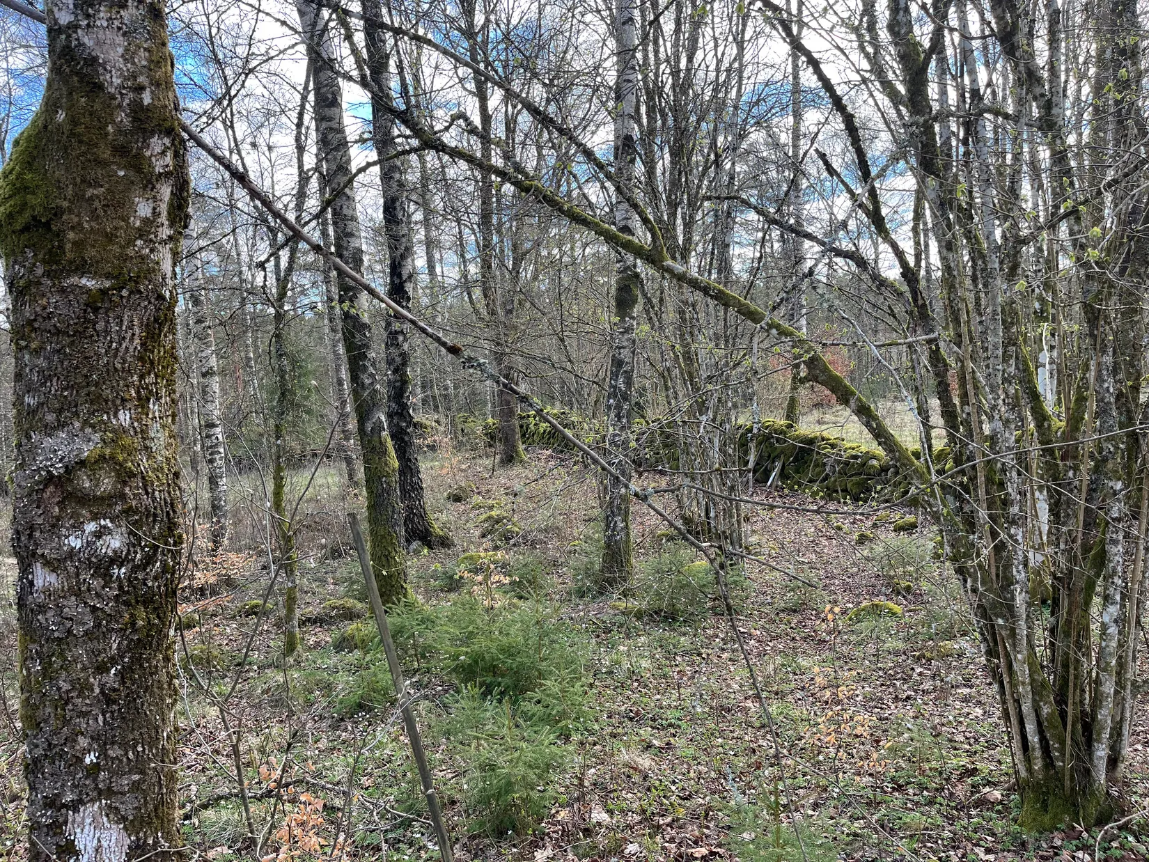Fritidshus, Rönnskog Eket, Rönnskog, Hylte