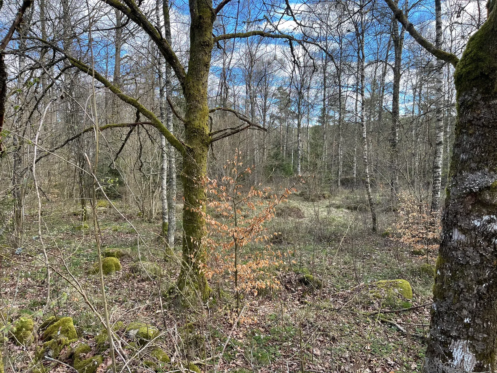 Fritidshus, Rönnskog Eket, Rönnskog, Hylte