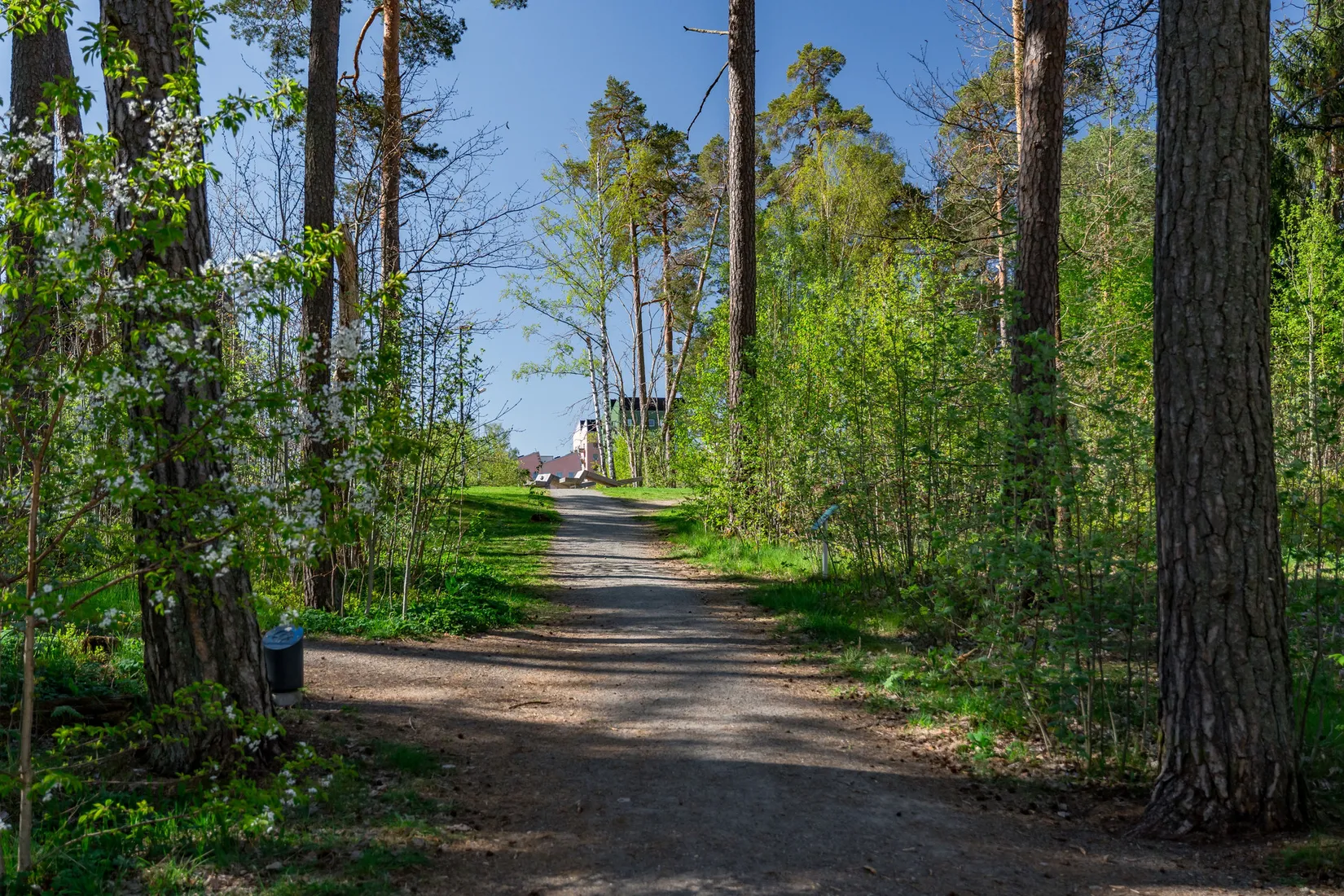 Bostadsrätt, Prefektgatan 8, Rosendal, Uppsala