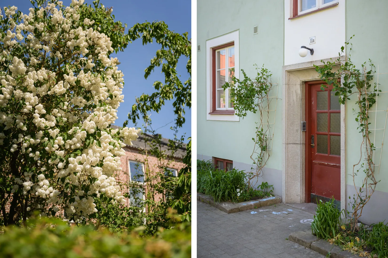 Bostadsrätt, Mäster Henriksgatan 11A, S:t Knut, Malmö