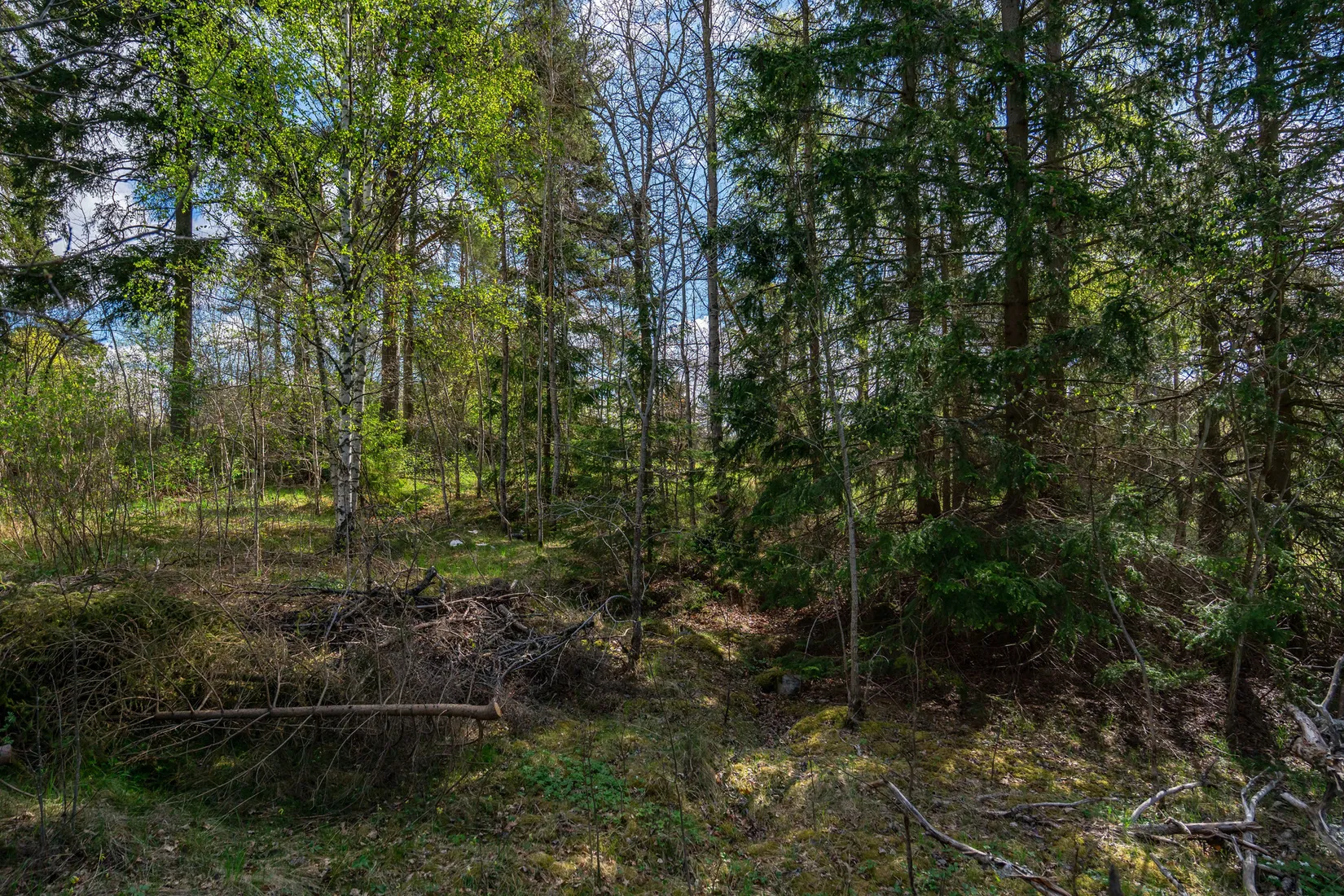Tomt, Lippinge 4, Knivsta