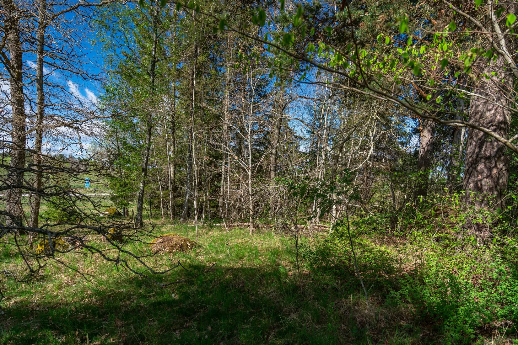Tomt, Lippinge 4, Knivsta