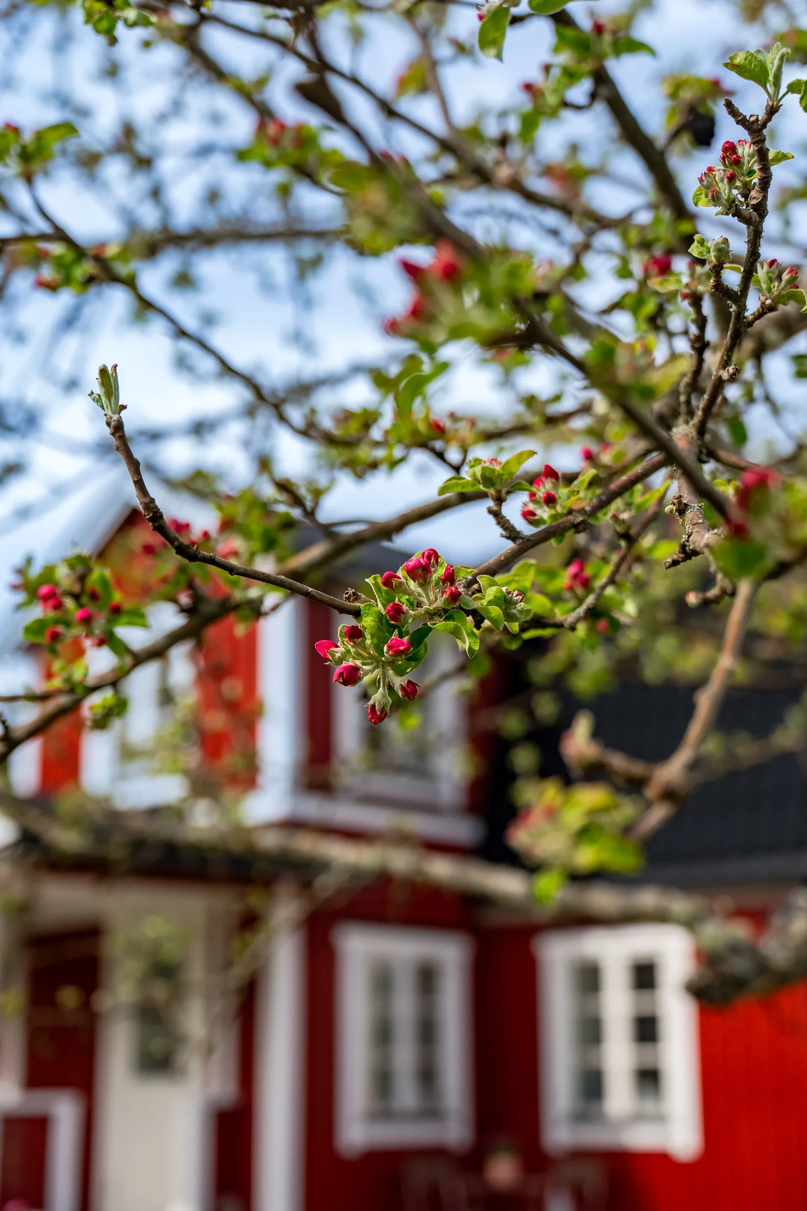 Villa, Fjuckby Bengtsberg 262, Storvreta, Uppsala
