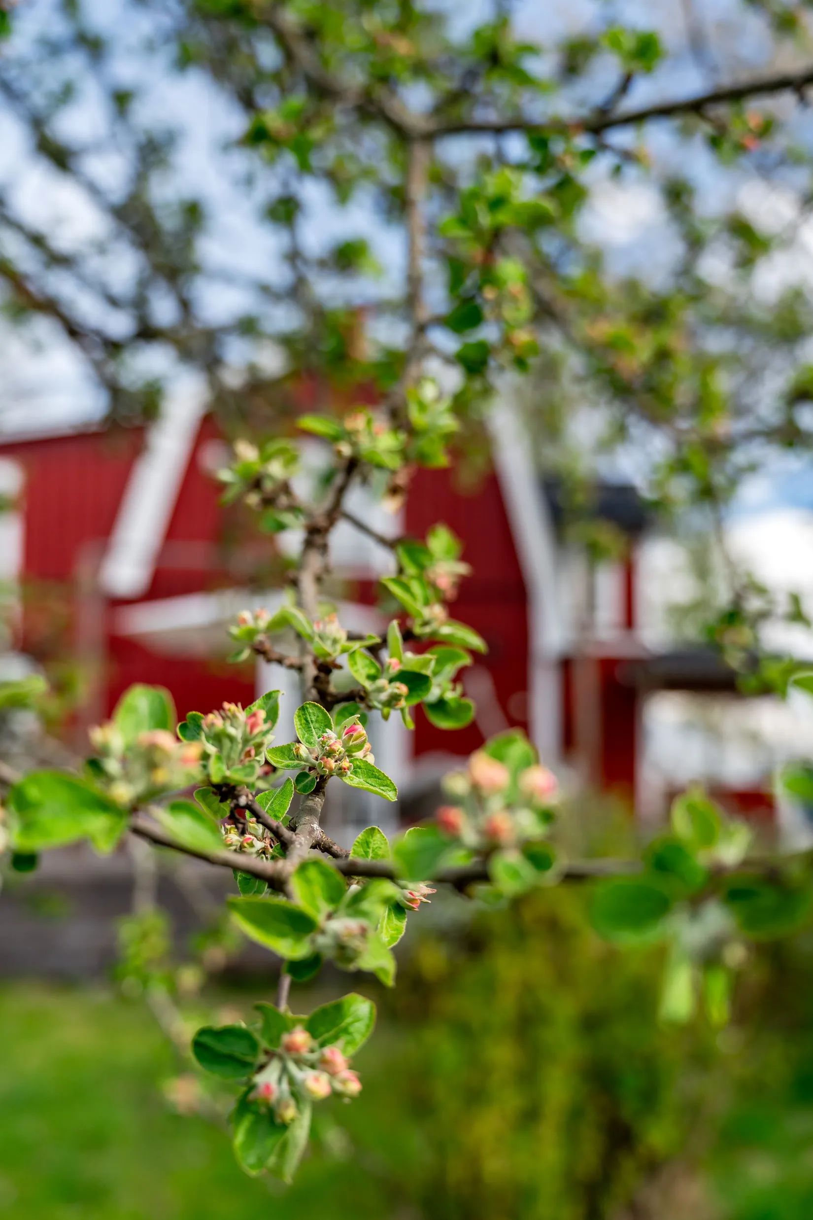 Villa, Fjuckby Bengtsberg 262, Storvreta, Uppsala