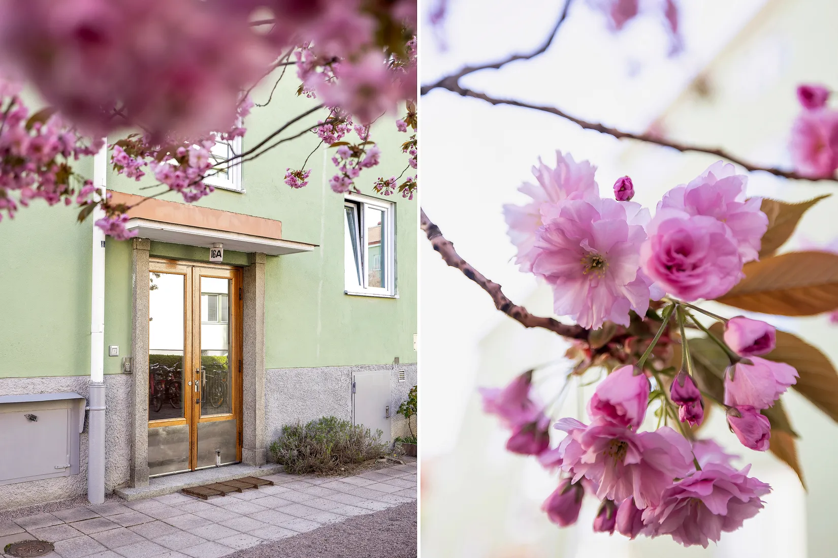 Bostadsrätt, Botvidsgatan 16A, Fålhagen, Uppsala